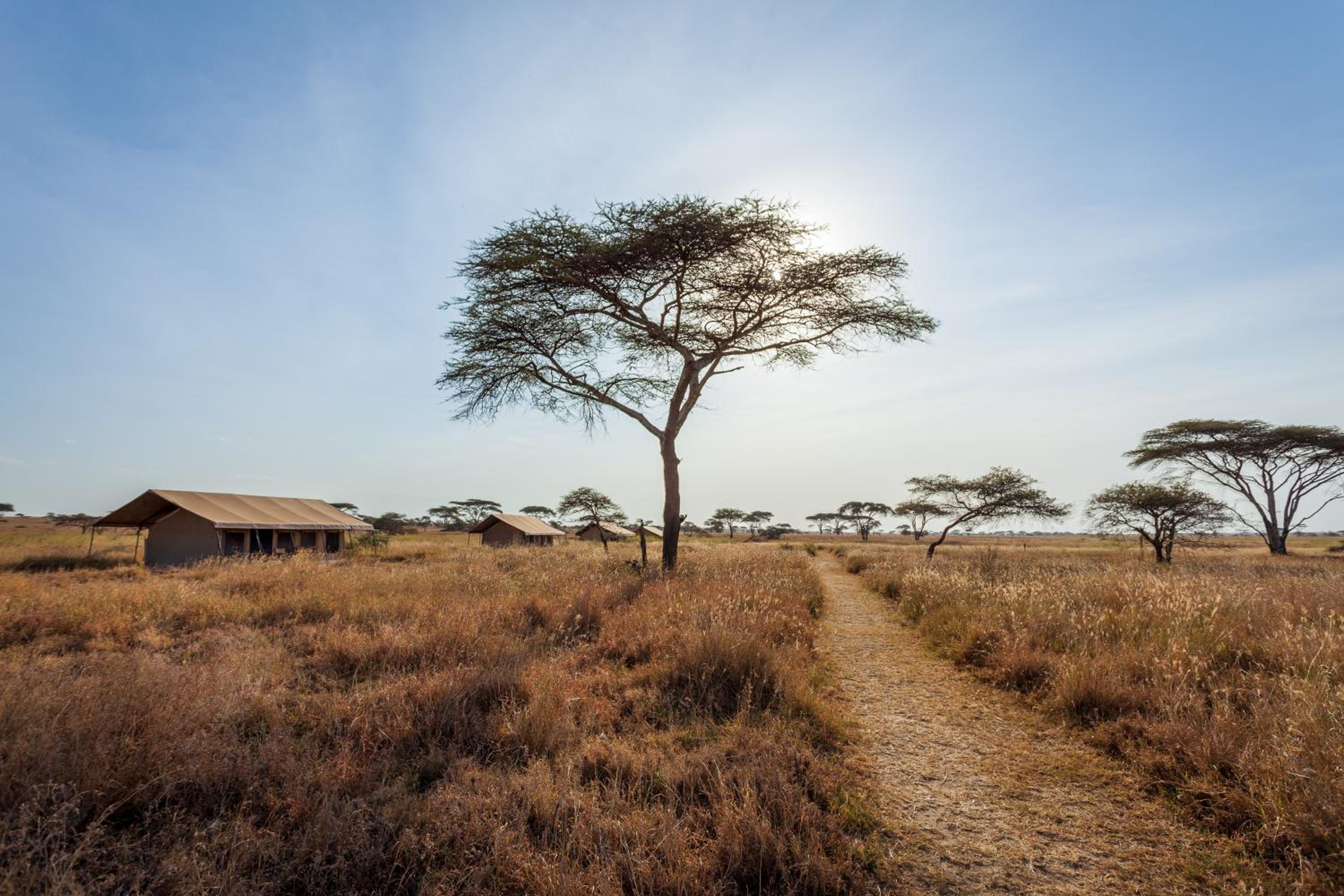 Mawe Tented Camp