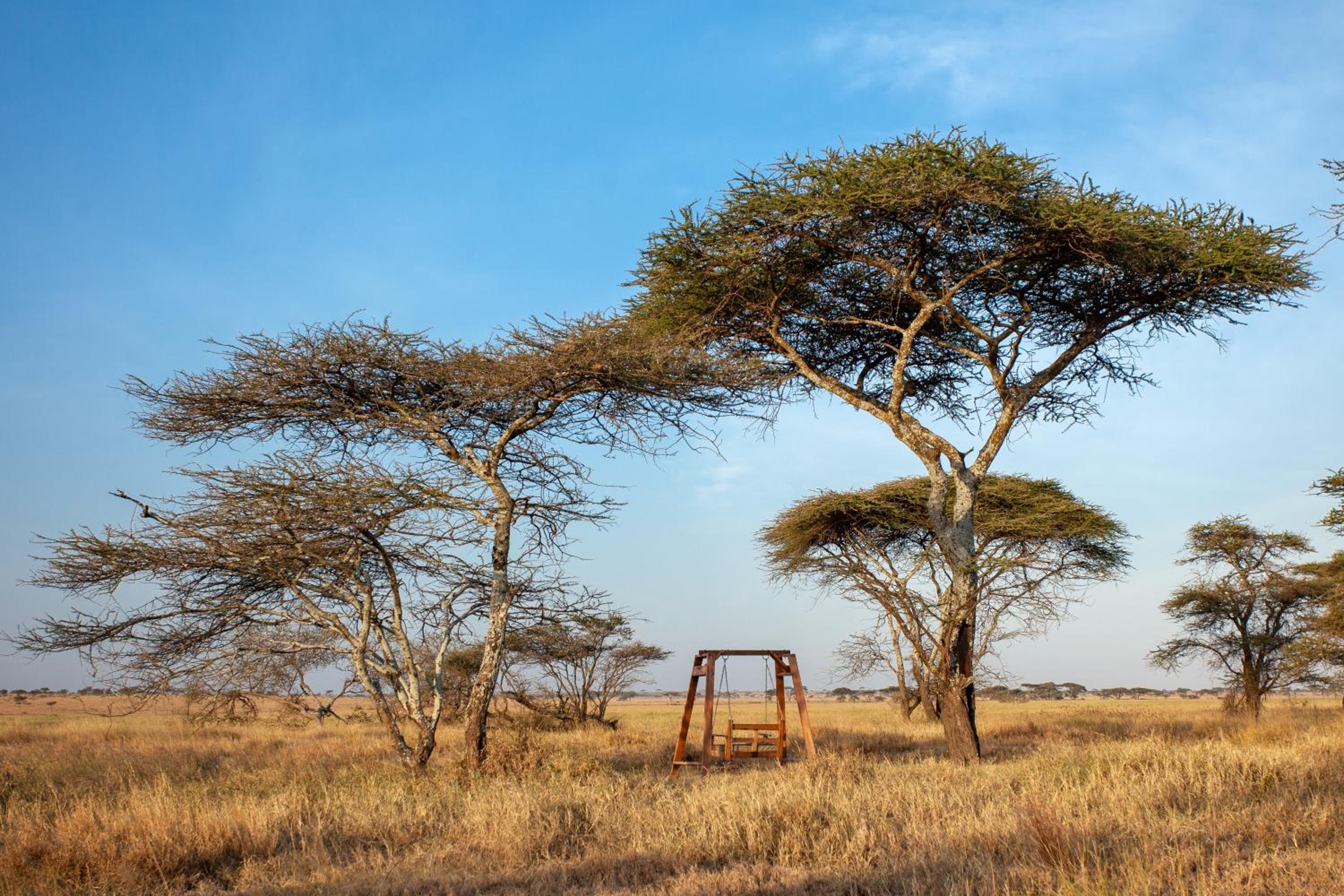 Mawe Tented Camp