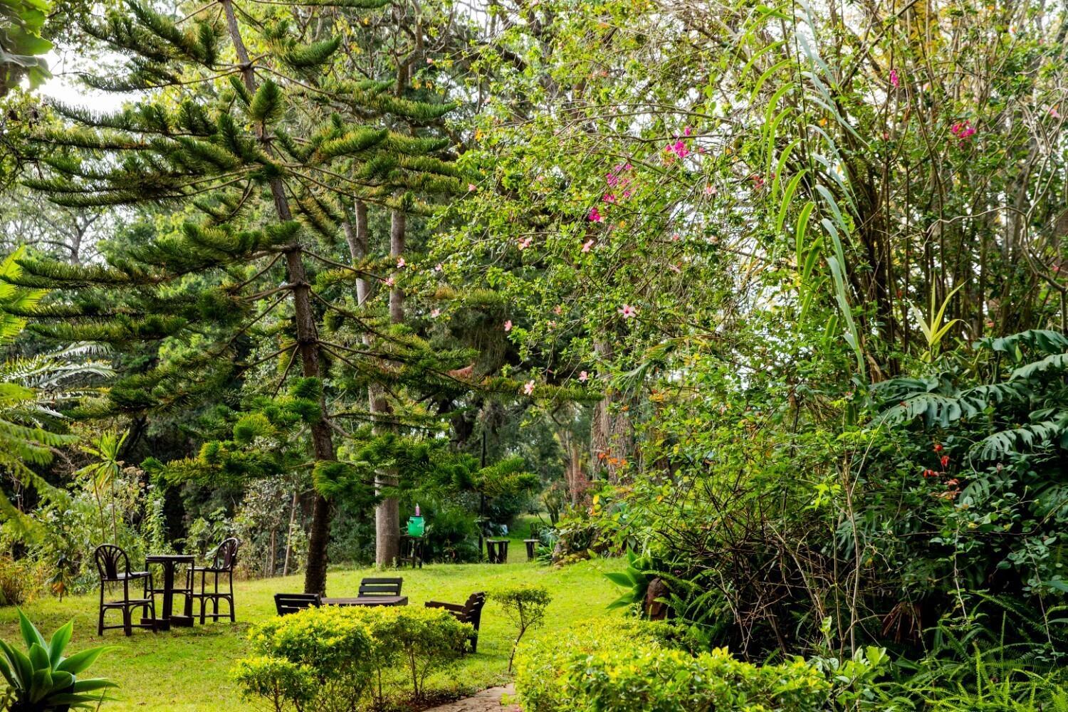 Naro Moru River Lodge