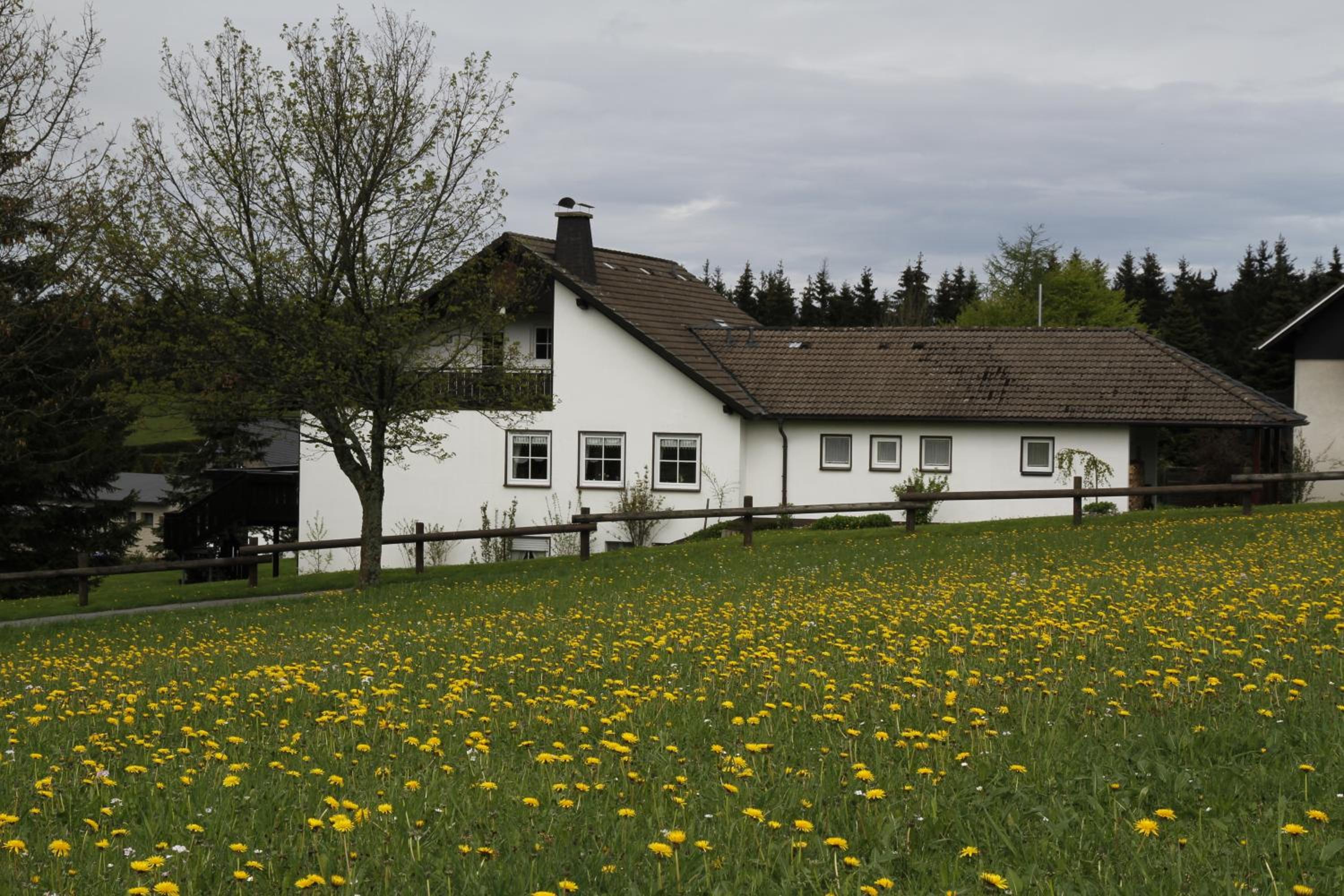 Ferienwohnung Astenpanorama