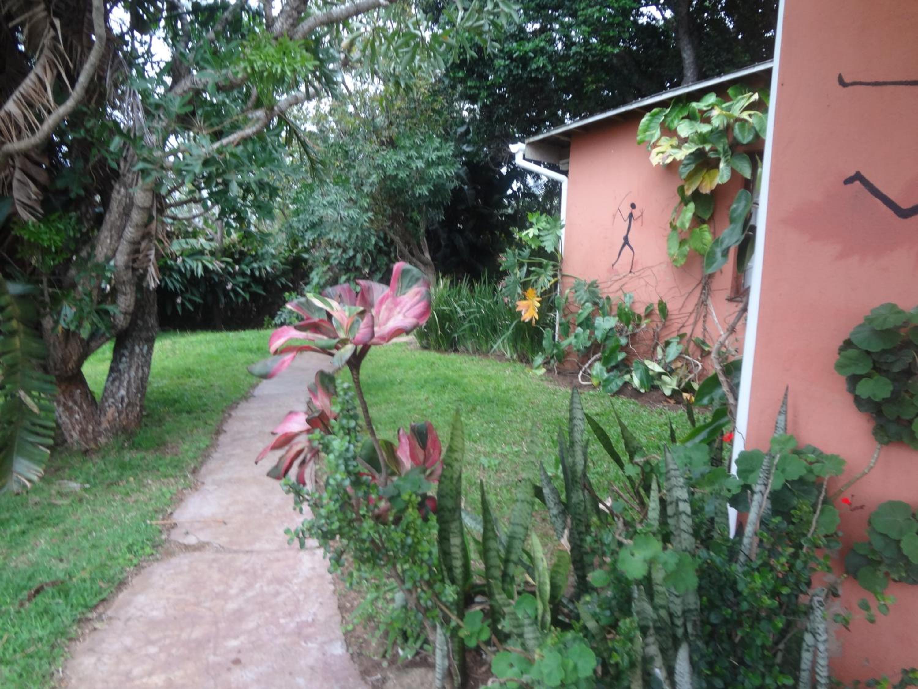 Photo 49