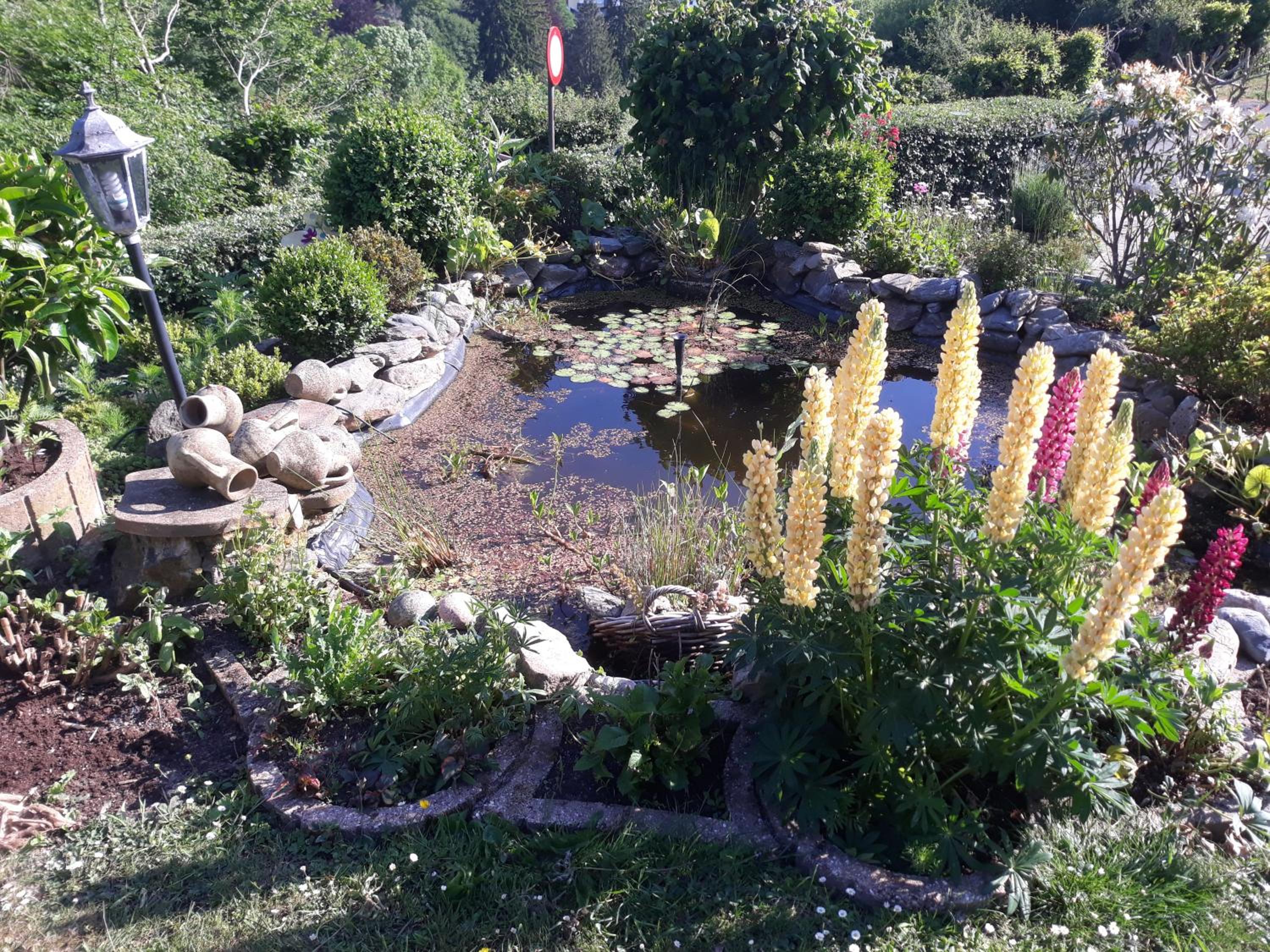 Studio Au jardin fleuri
