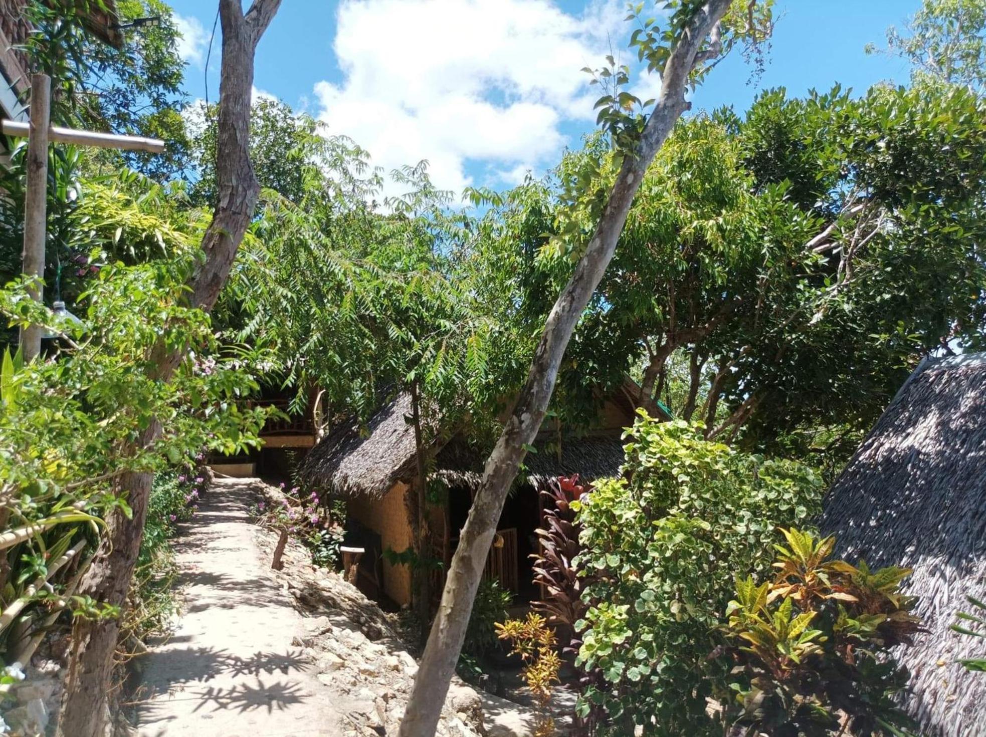 OcamOcam Azur Inn view 4