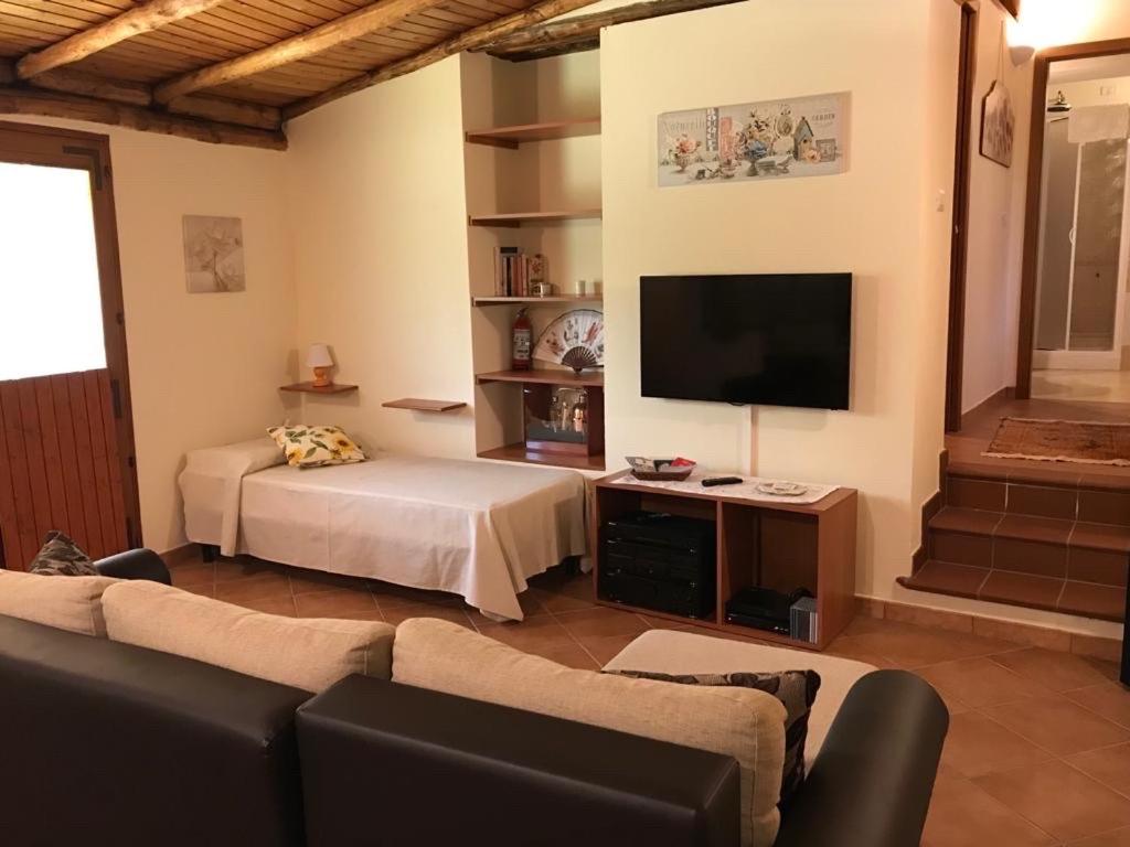 Chalet indipendente con parcheggio privato servizio palestra view 2