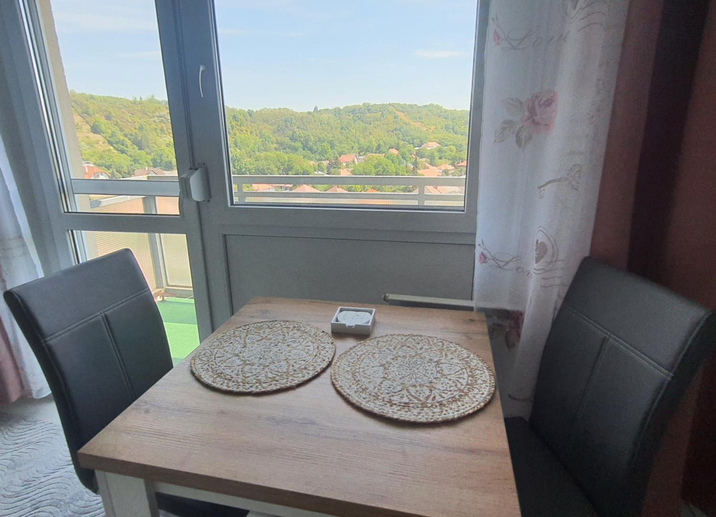 Hegyalja Apartman view 3