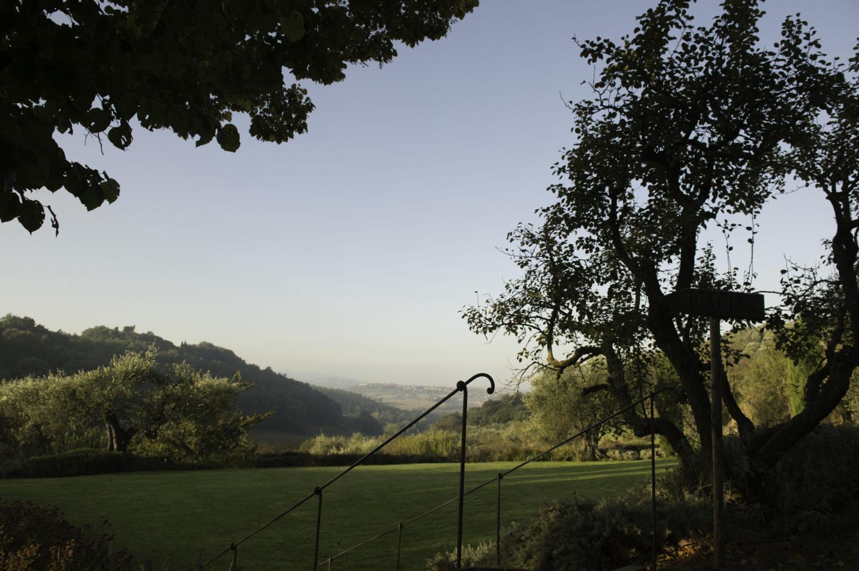 Photo 45