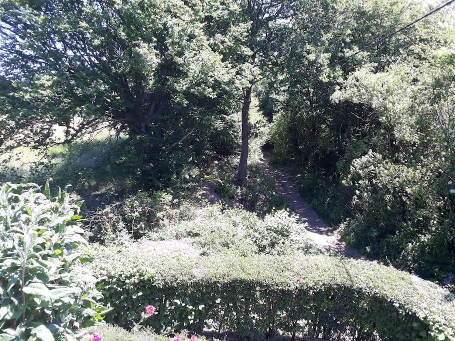 Studio Au jardin fleuri