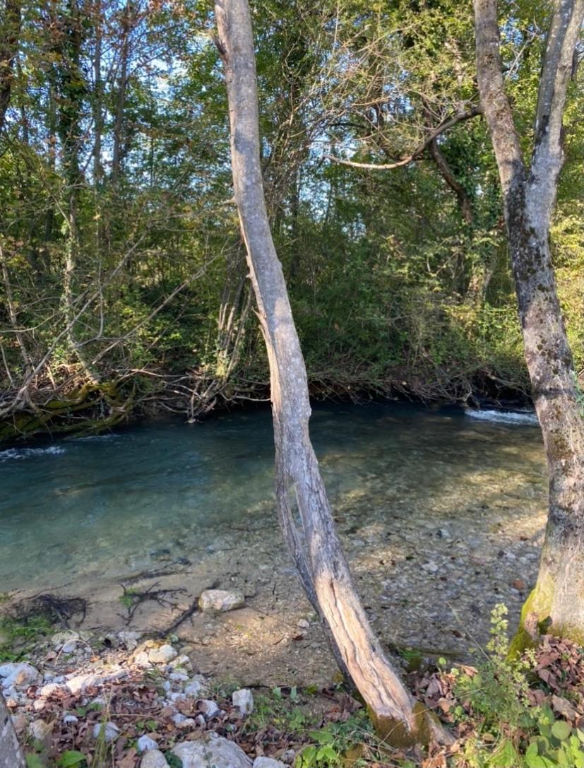 Soko holiday home Bihac