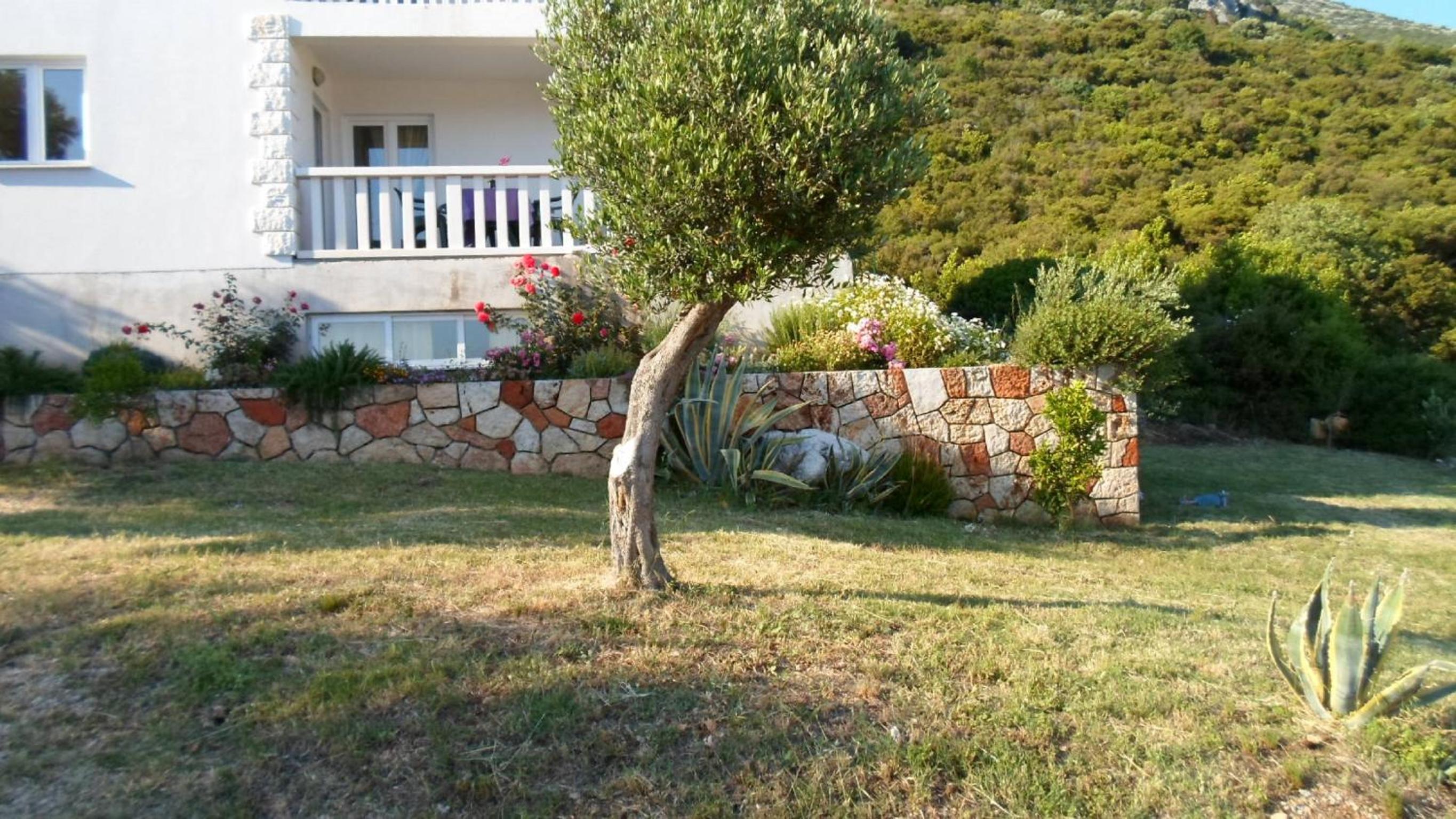 Photo 39