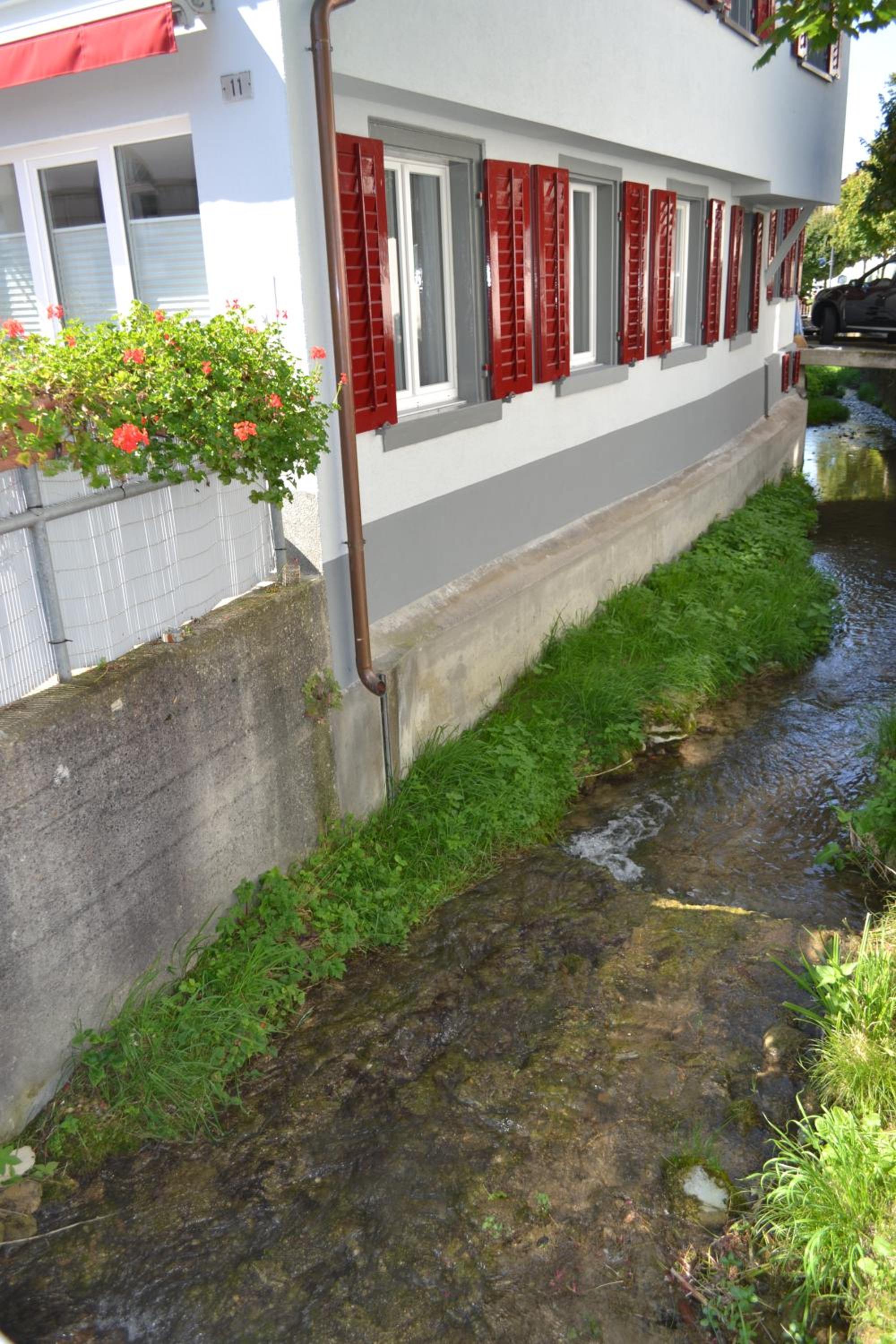 Photo 12