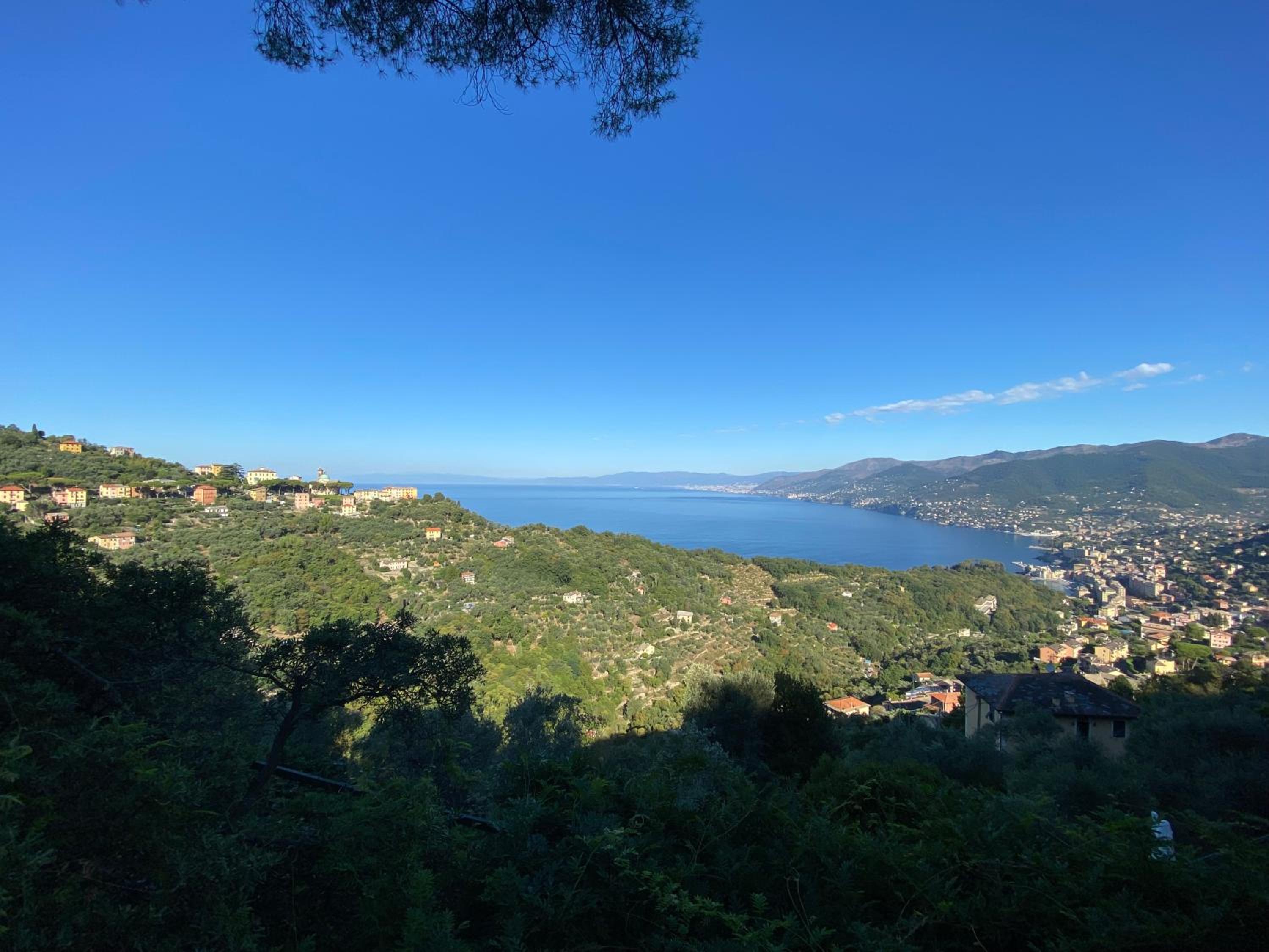 Appartamento Victoria