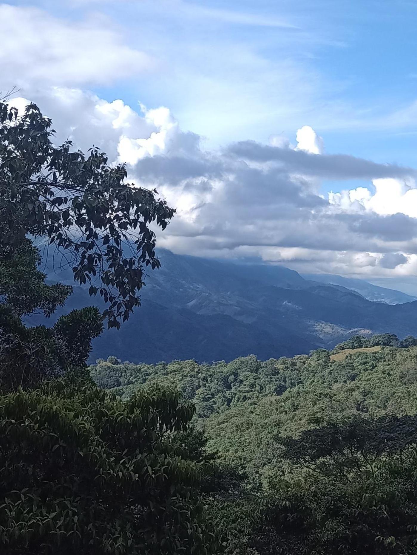 PosadaManduka Eco-Hostel - Property Image 39