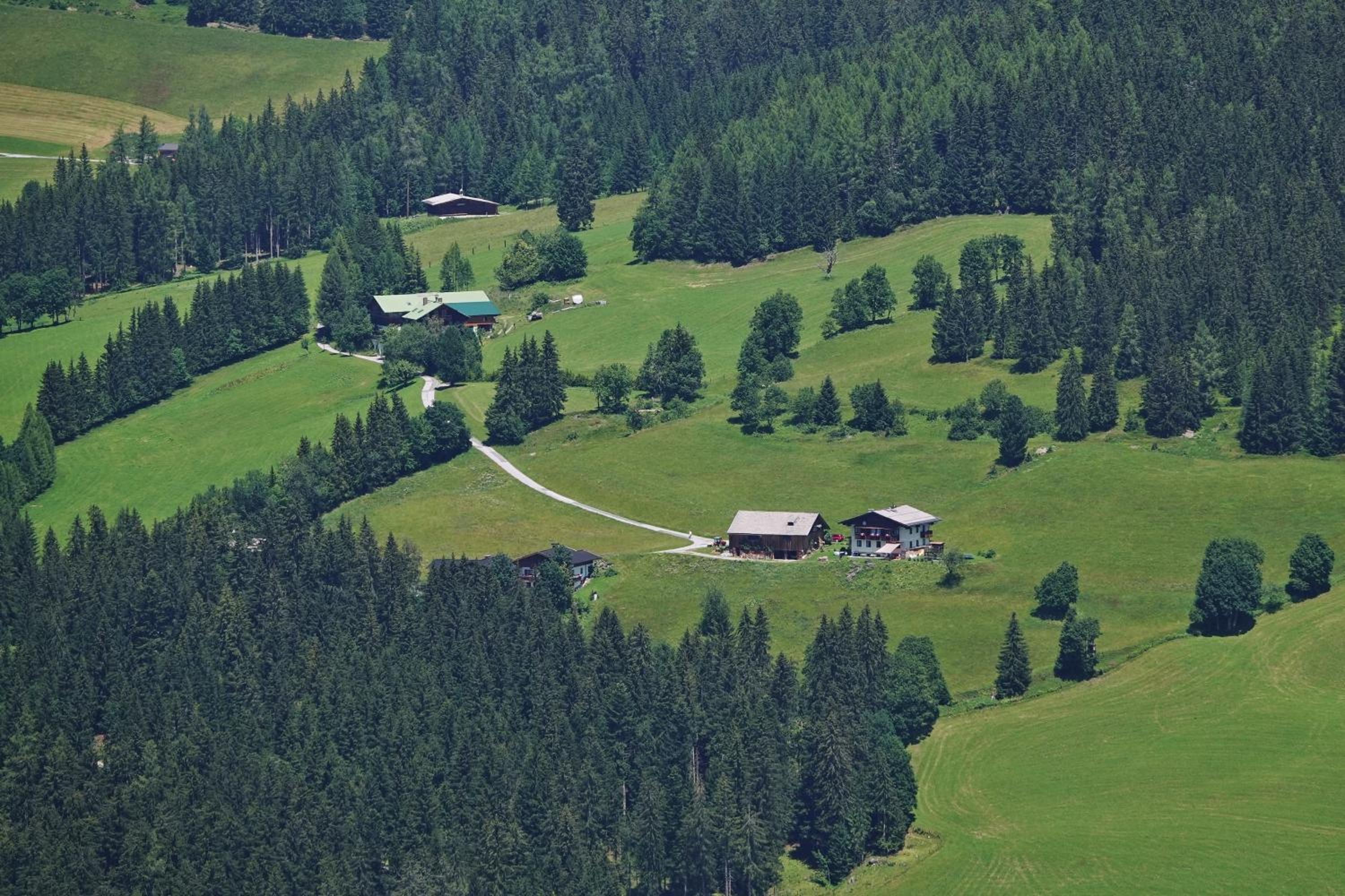 Haus Ellbrunn view 5