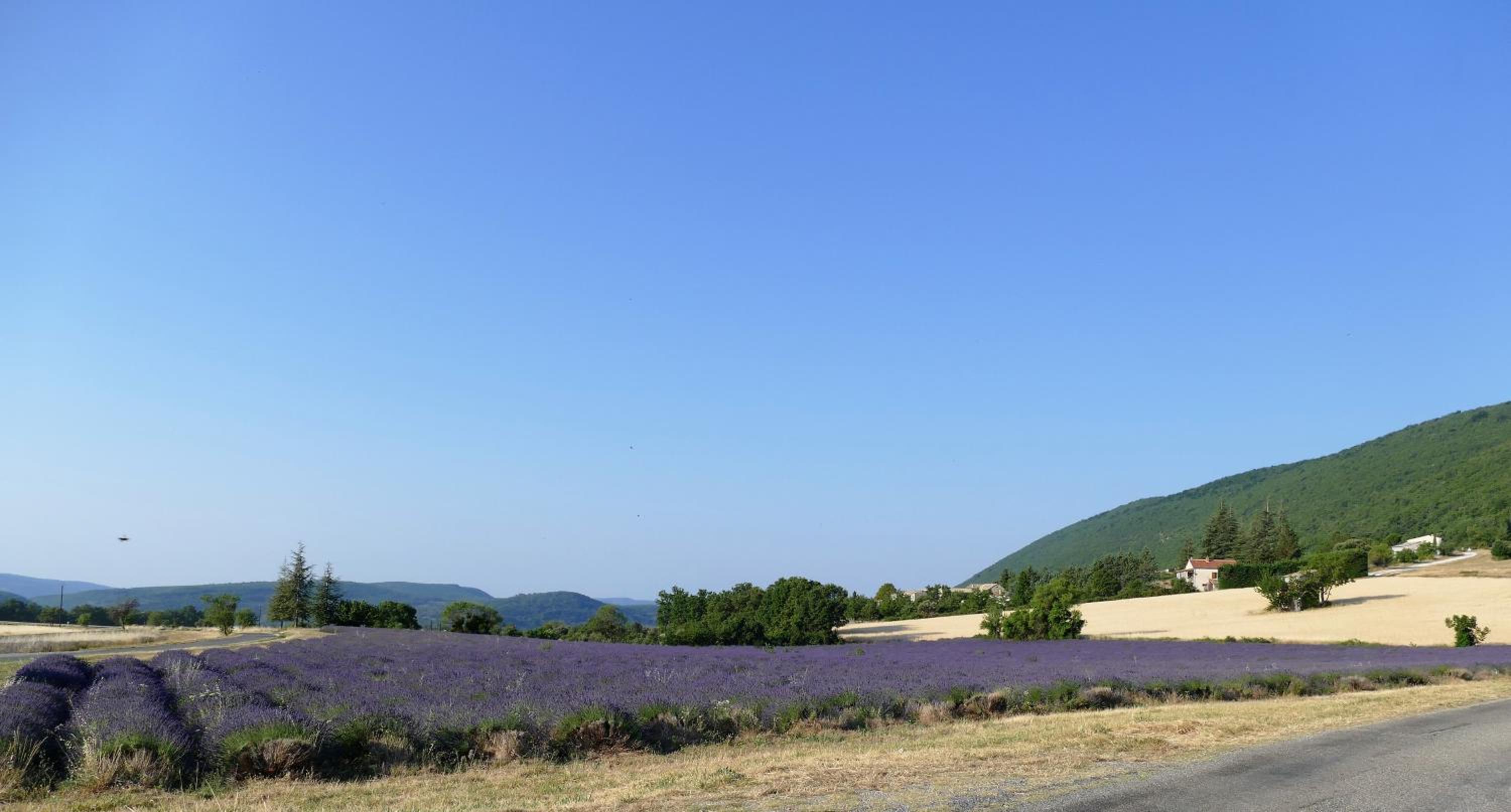 Les bois rouges view 5