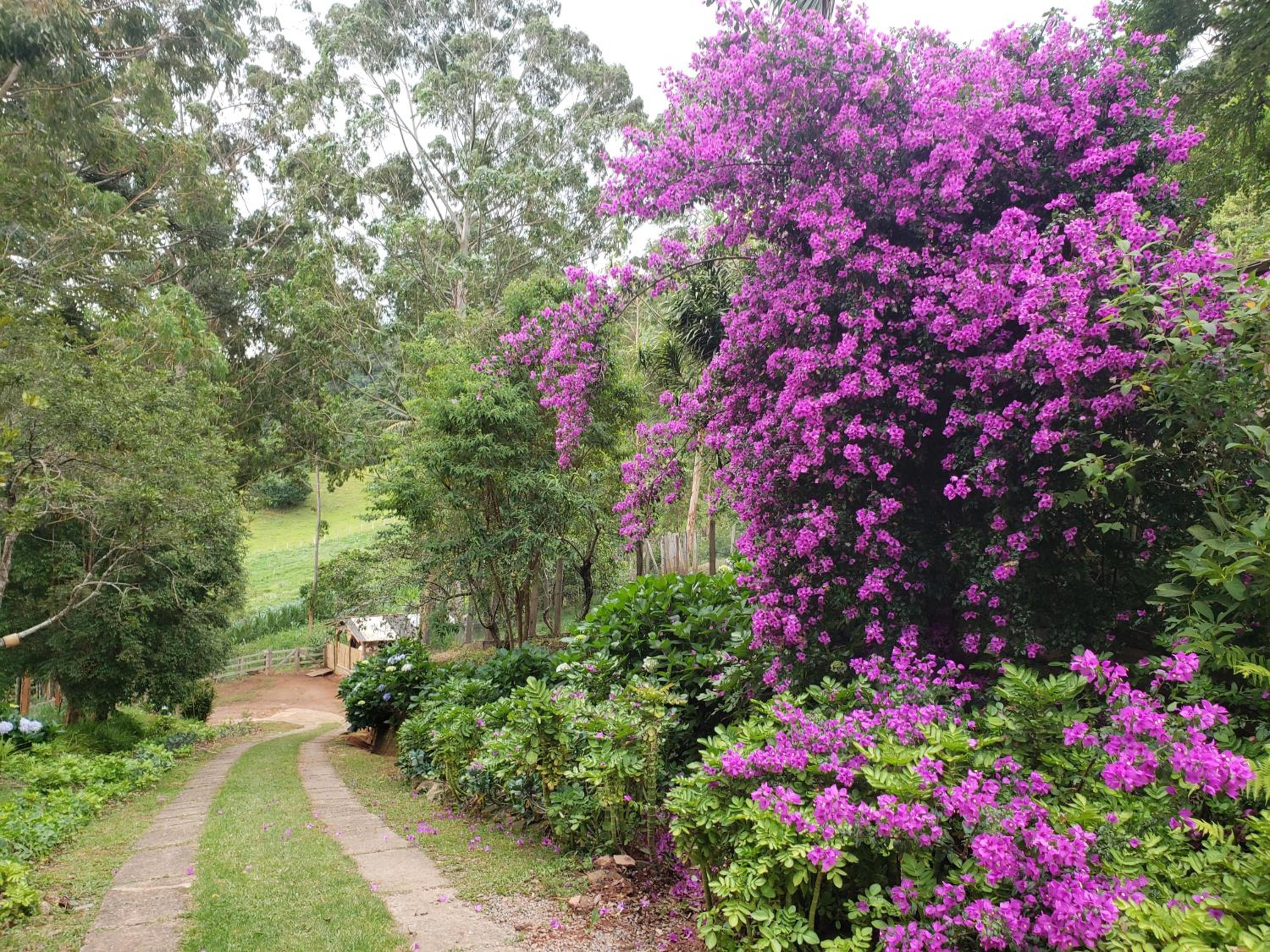 Sitio Natividade