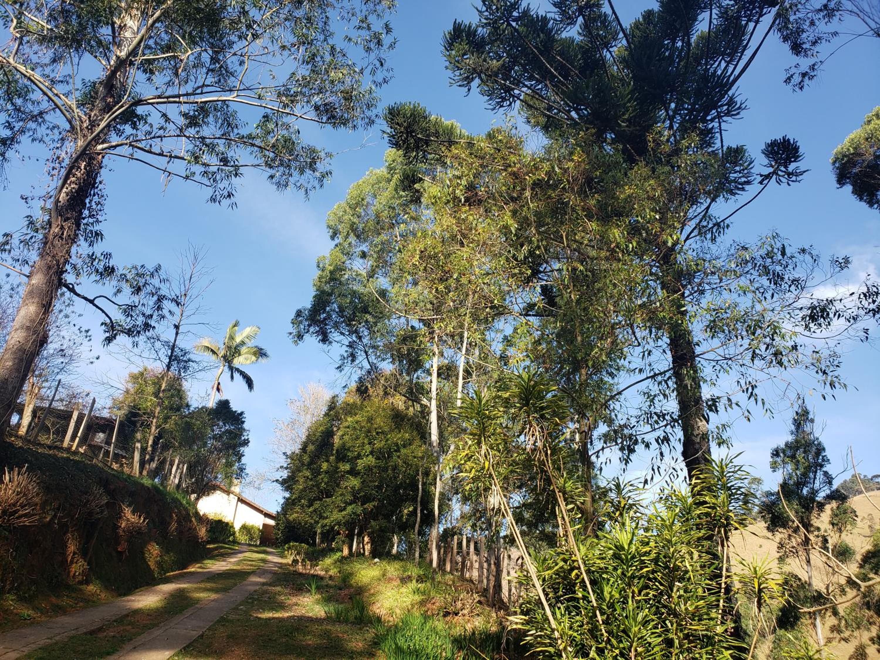 Sitio Natividade