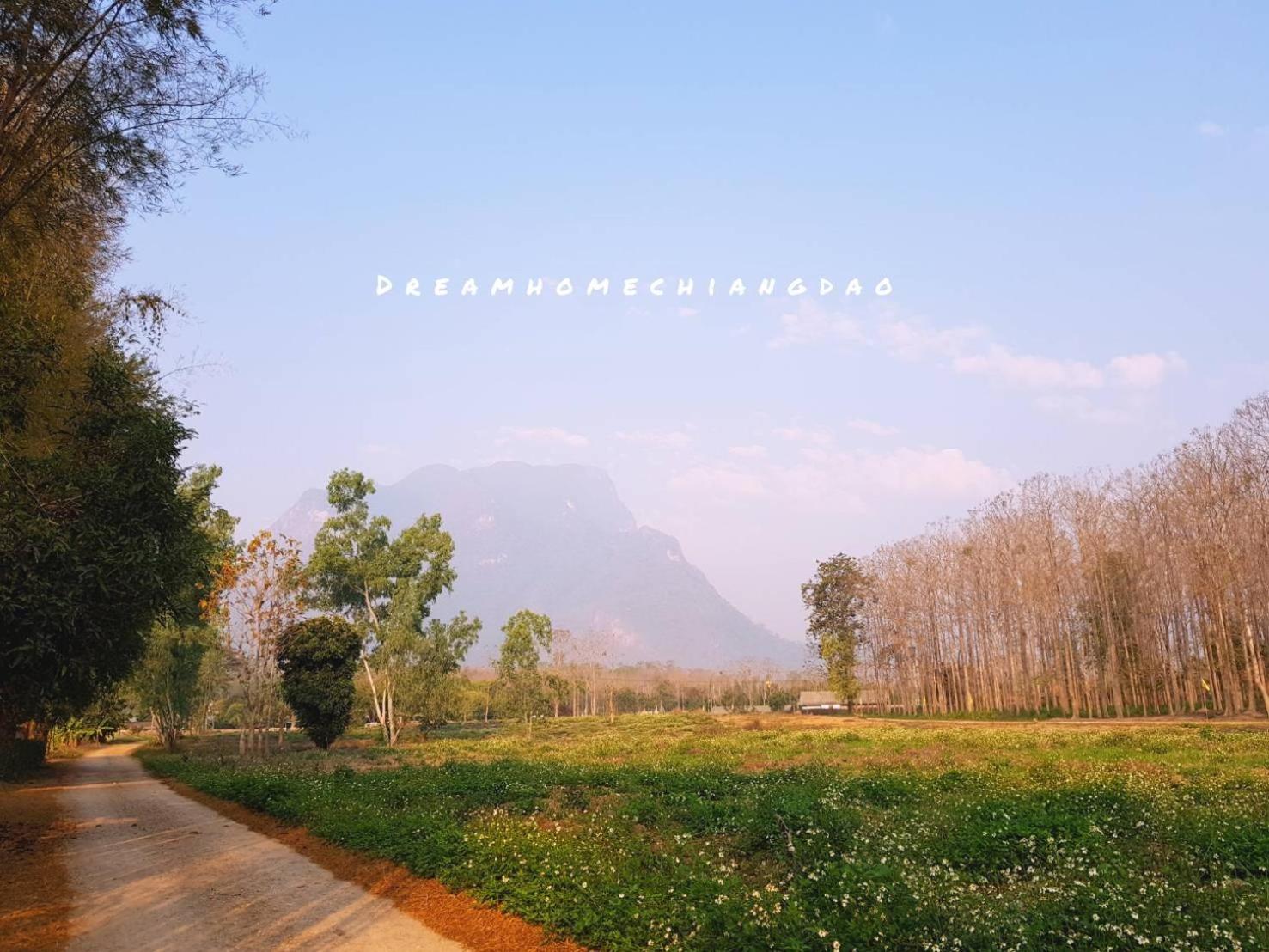 Dreamhome Chiangdao