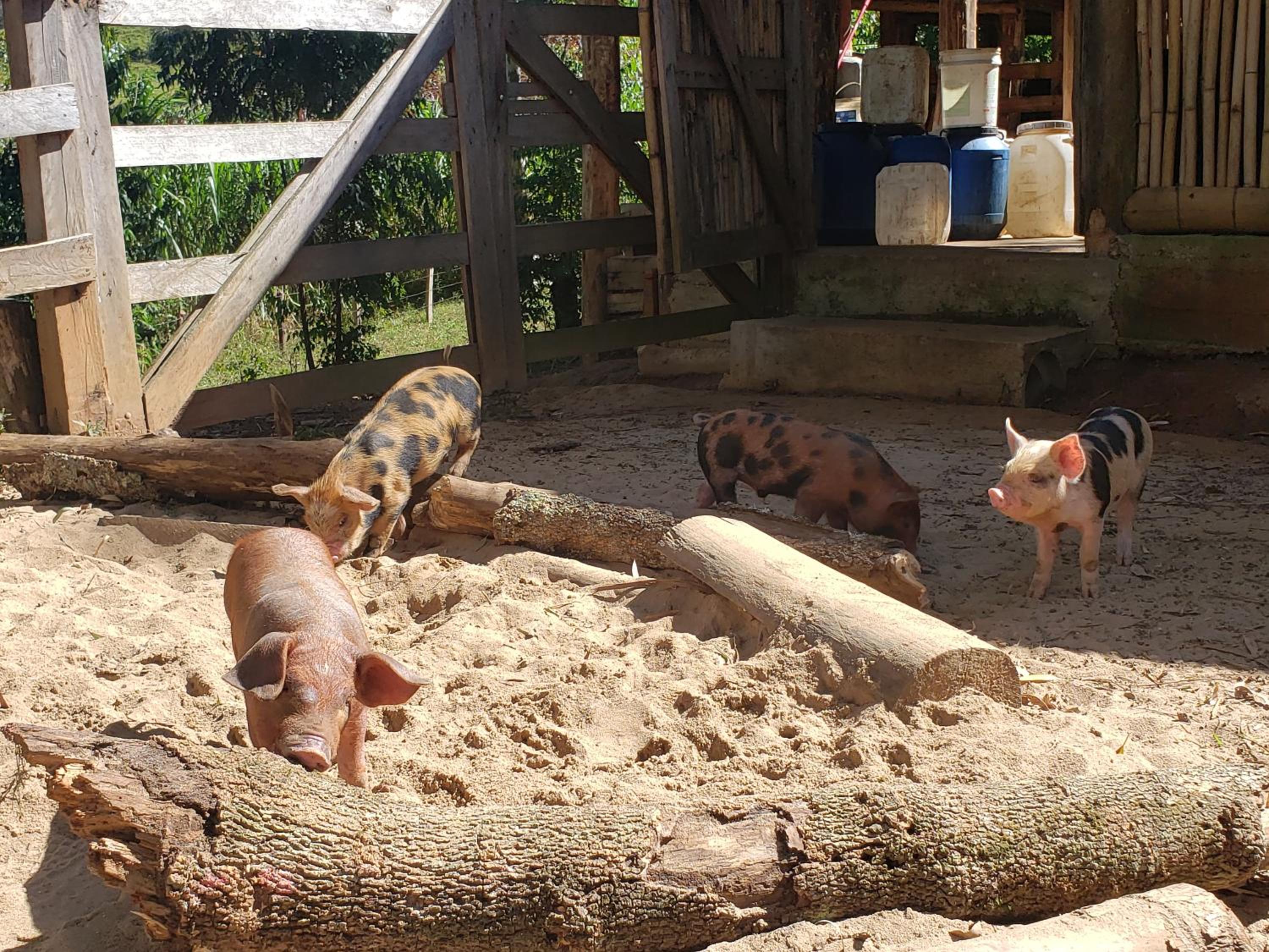 Sitio Natividade