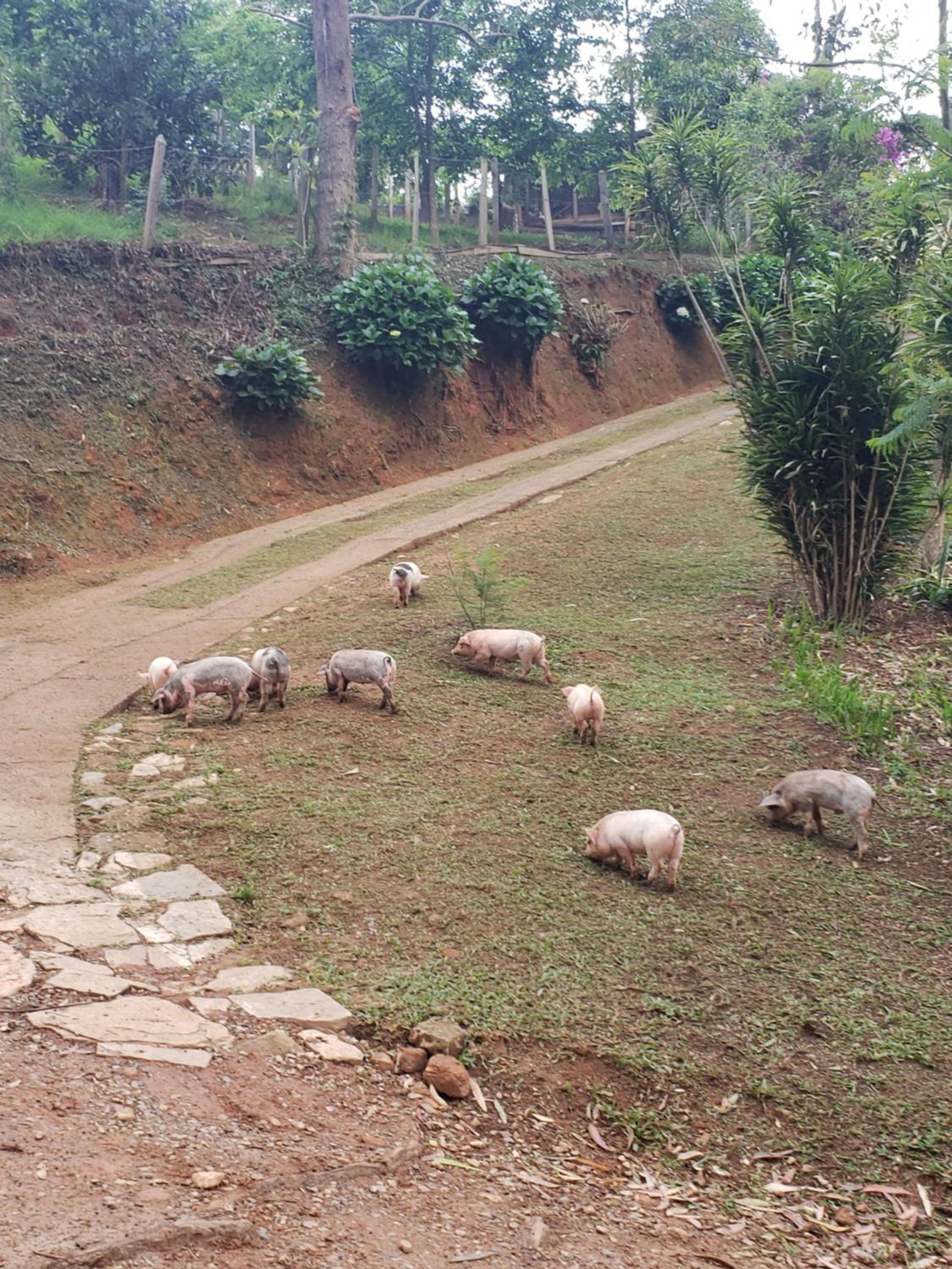 Sitio Natividade