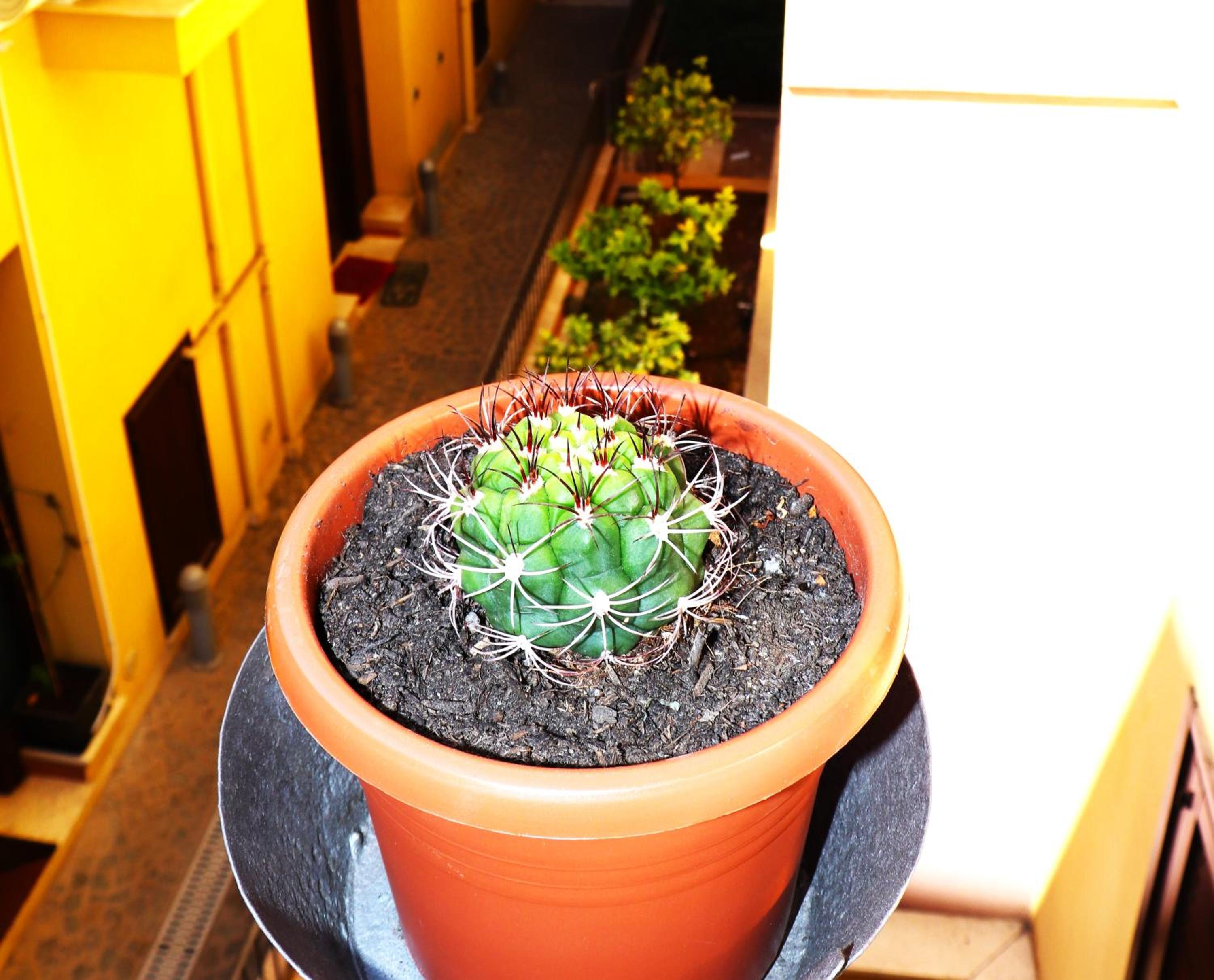 Photo 21