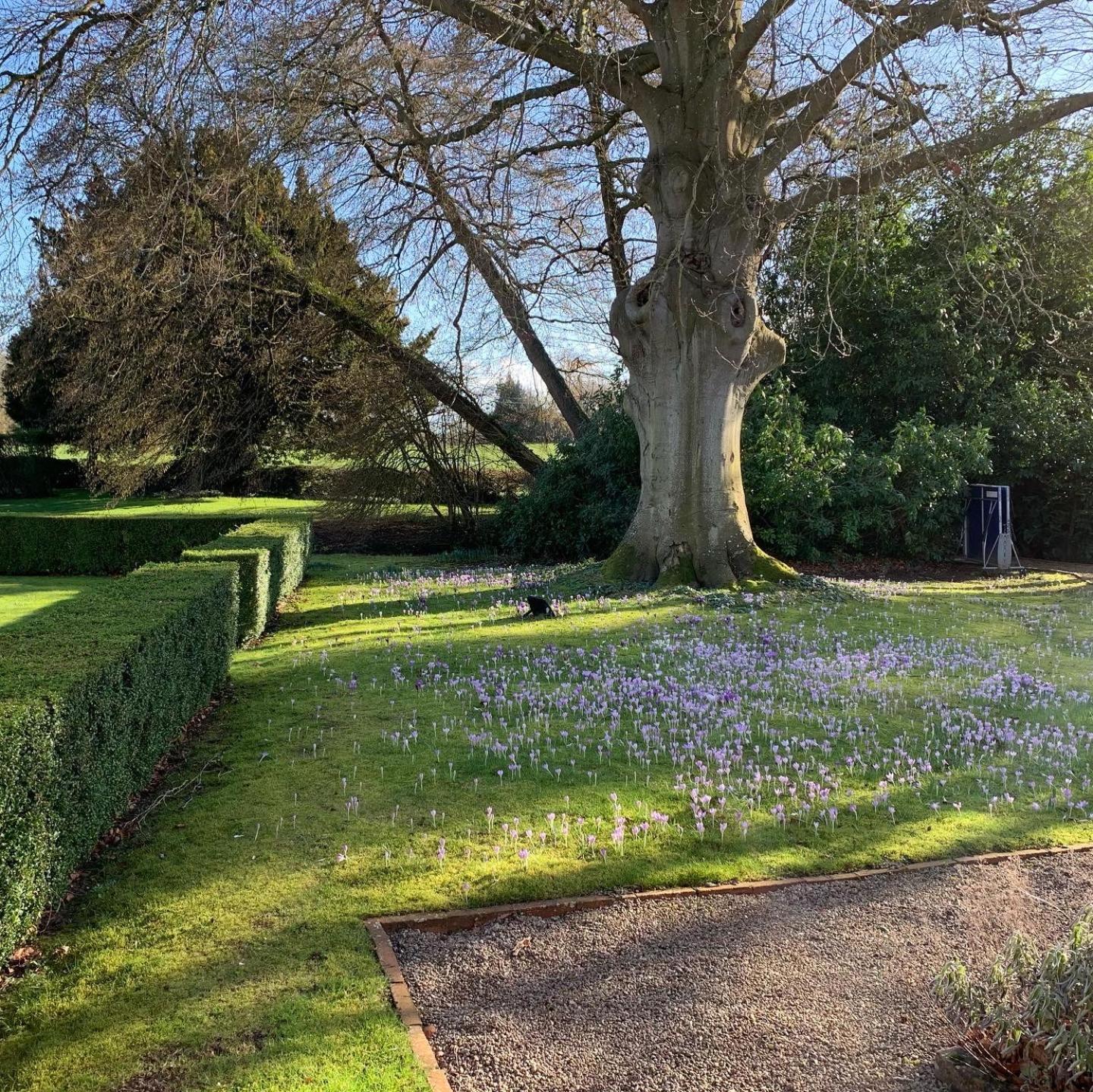 The Old Vicarage view 2