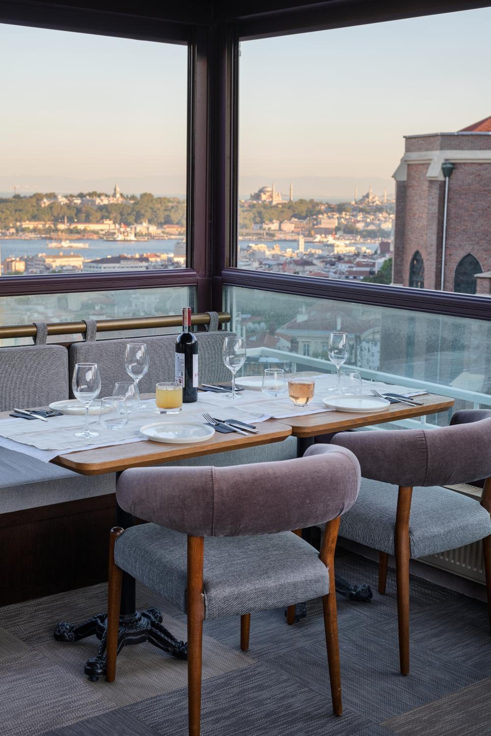 GentleTom - Image 15