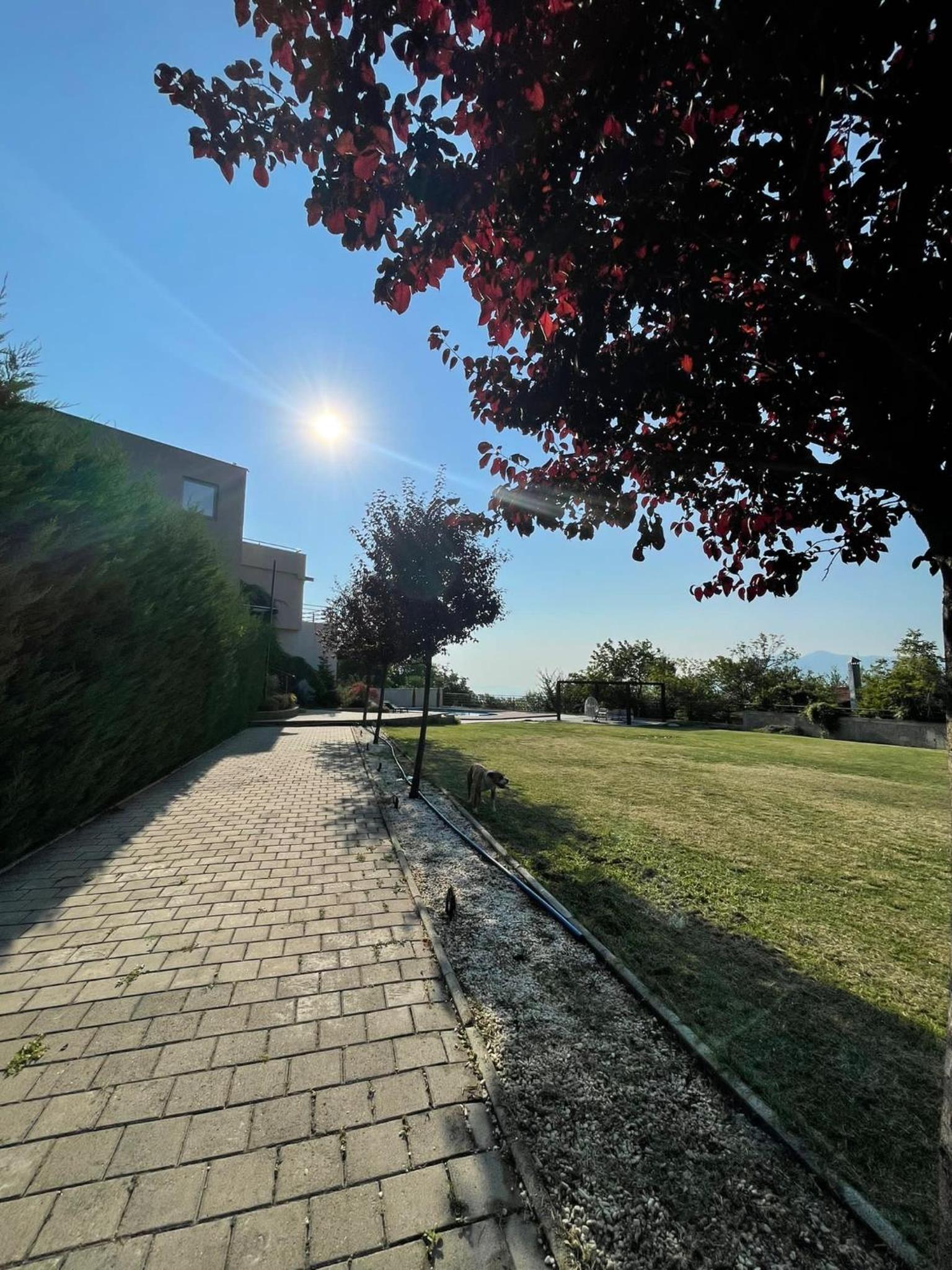 Photo 26