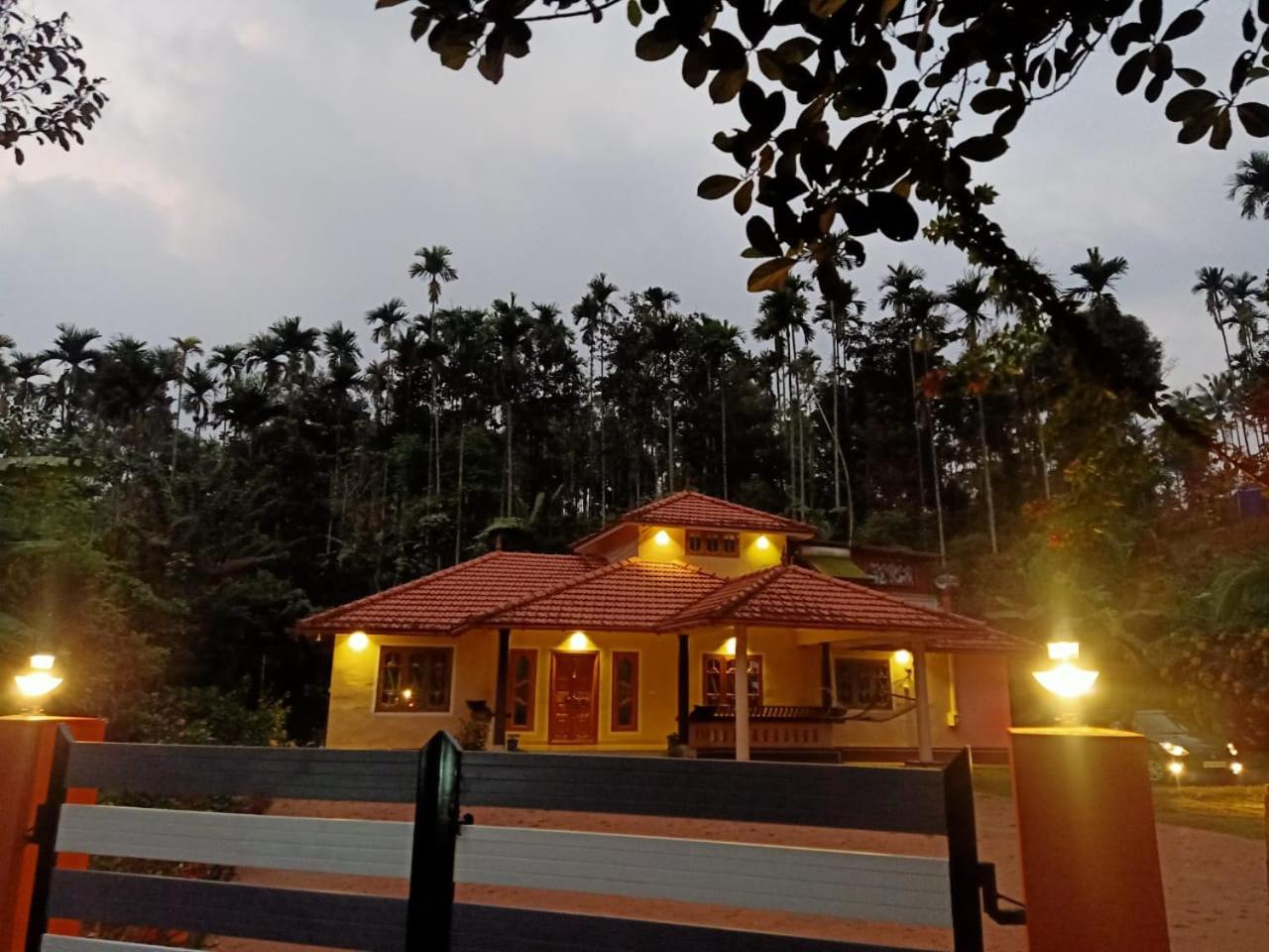 Nandanam Villa view 3