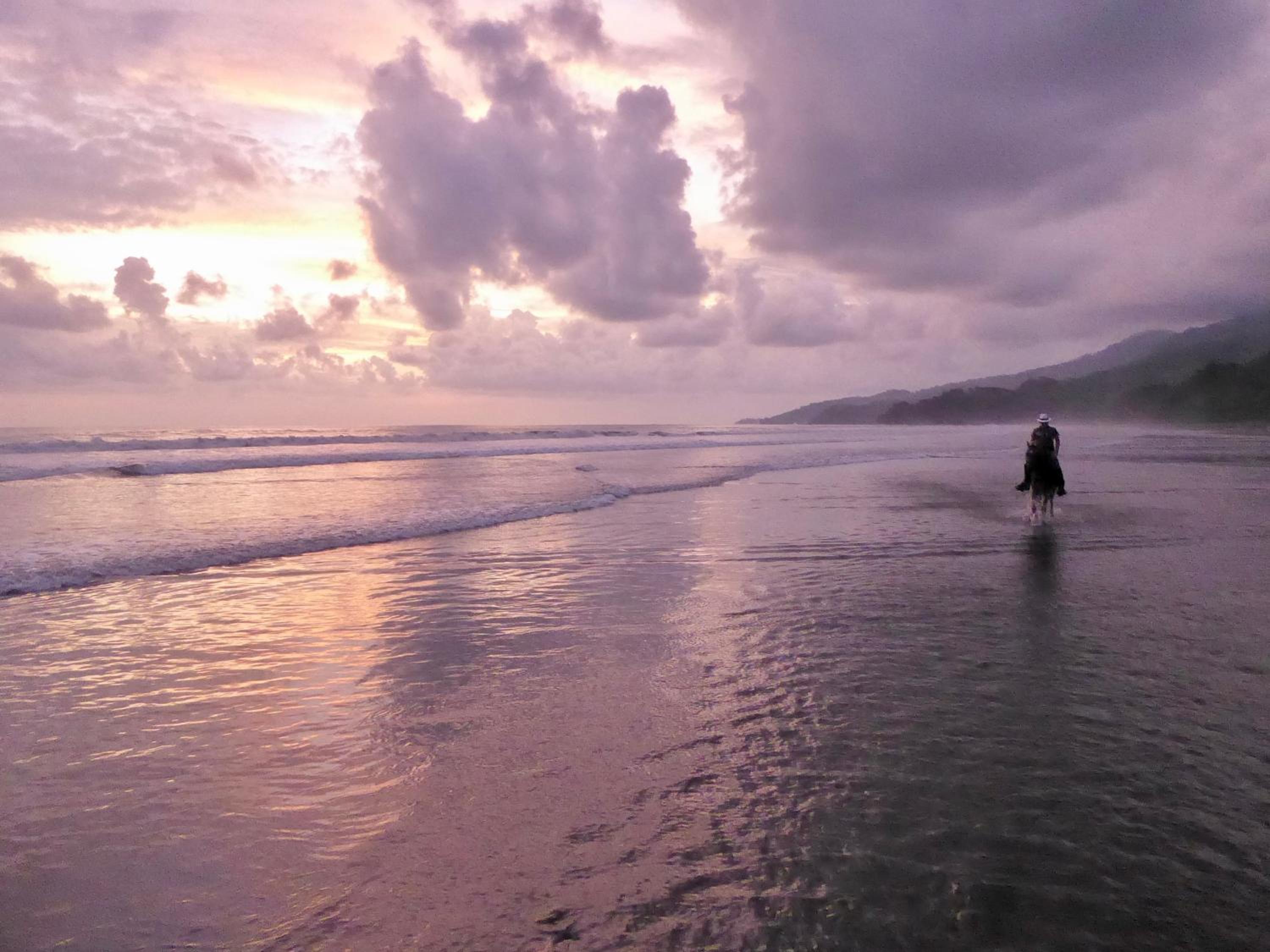 Uvita Bali Bosque Retreat