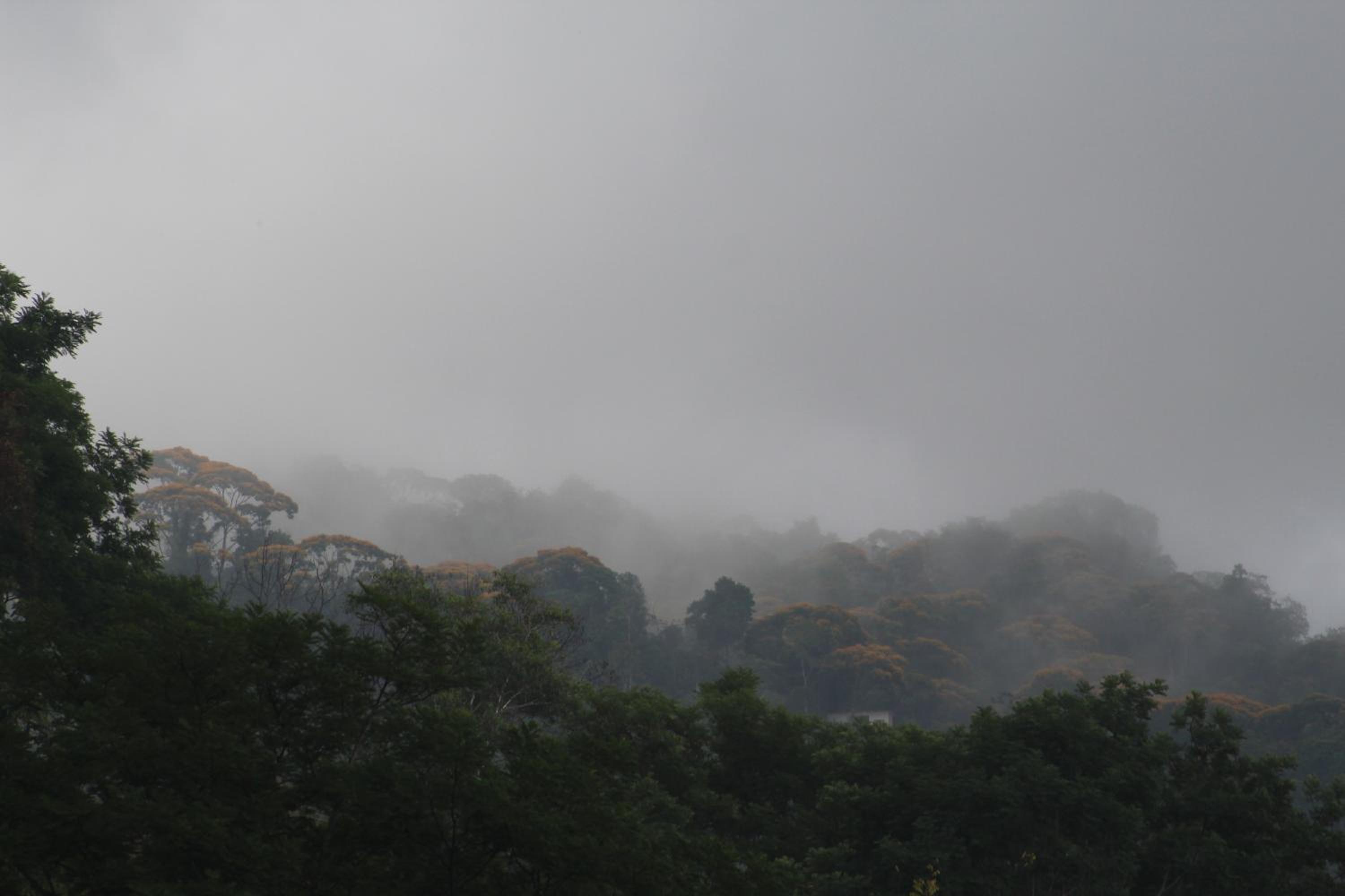 Uvita Bali Bosque Retreat