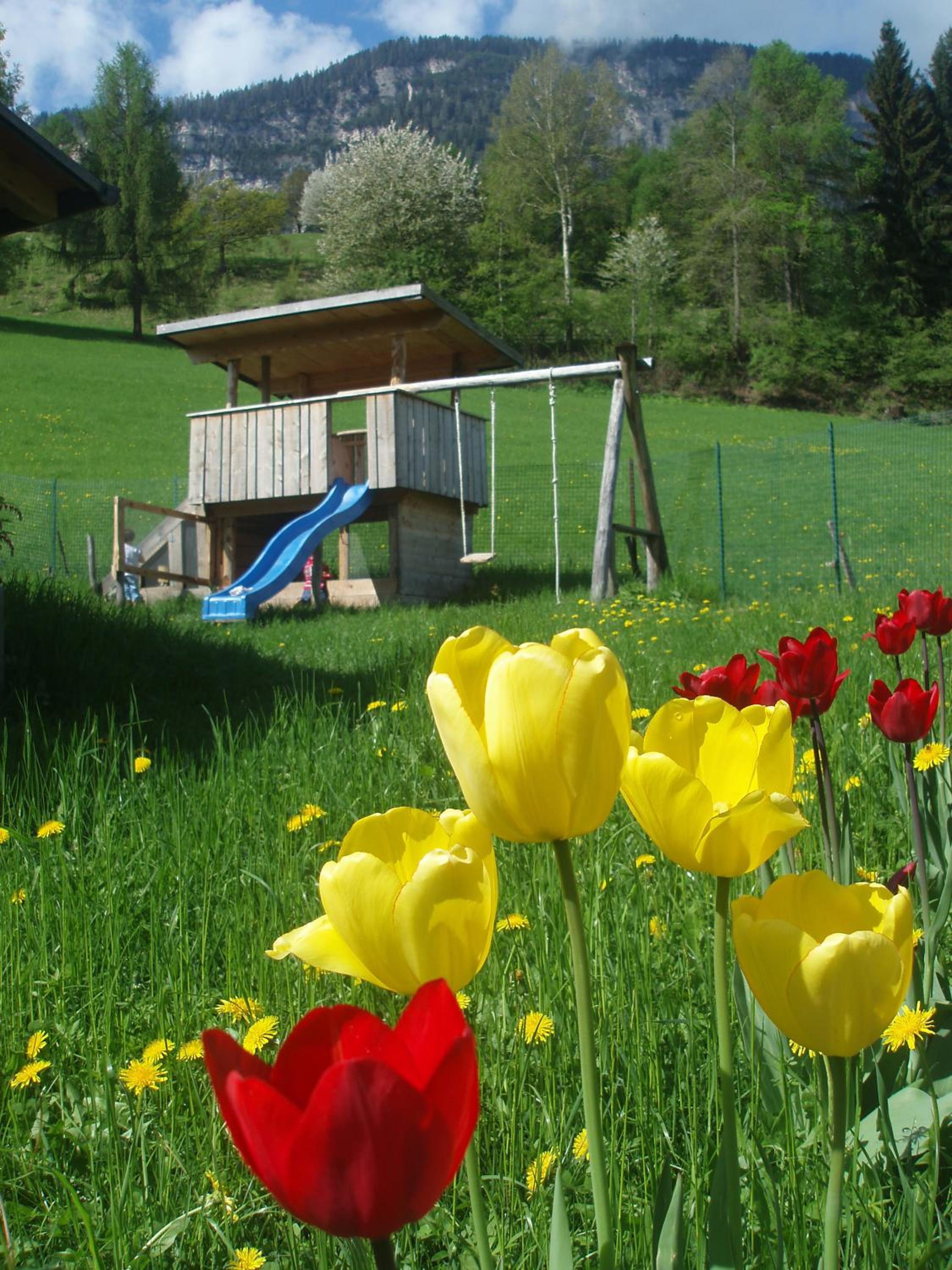 Tinnerhof