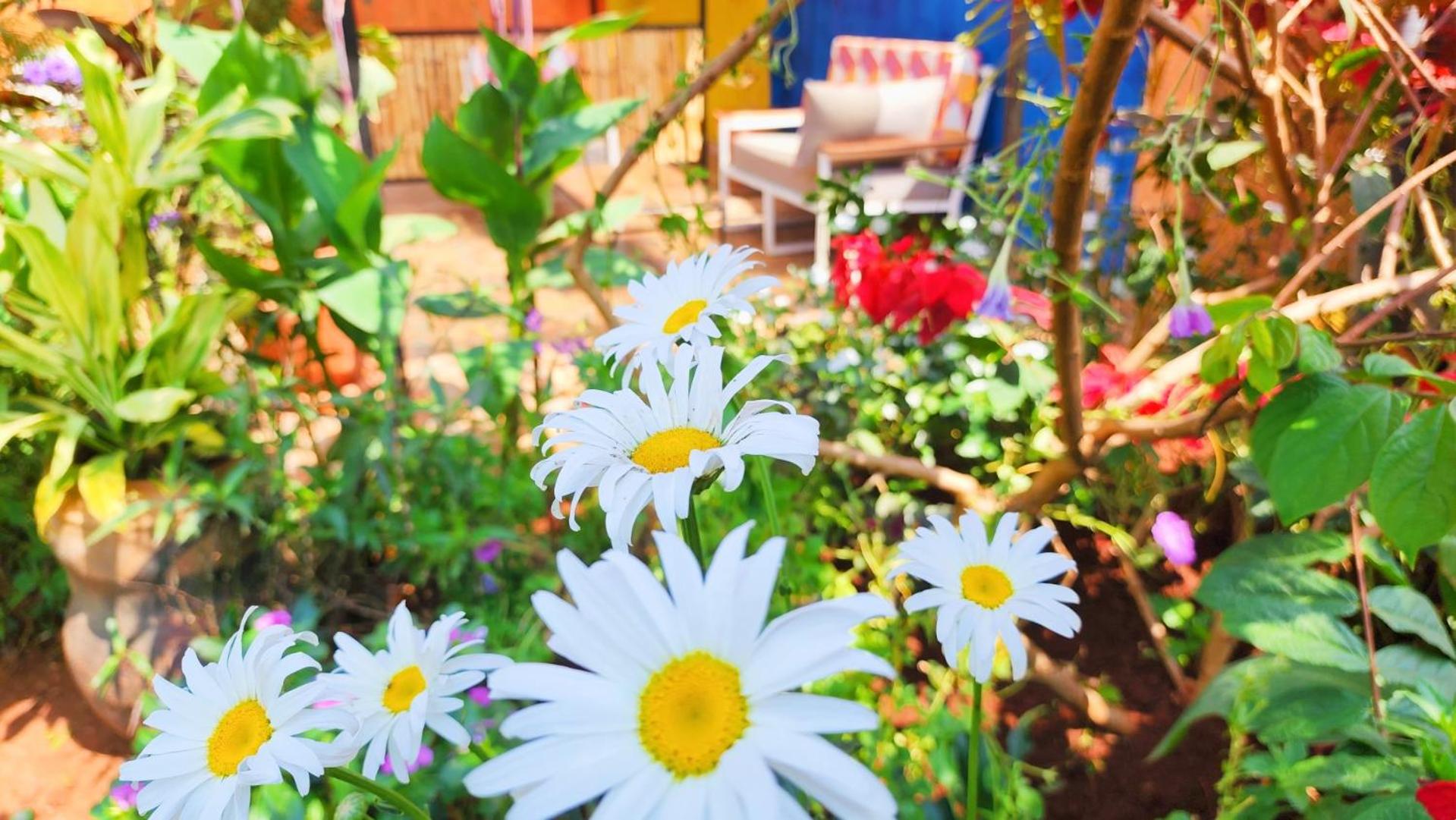 Yambi Guesthouse