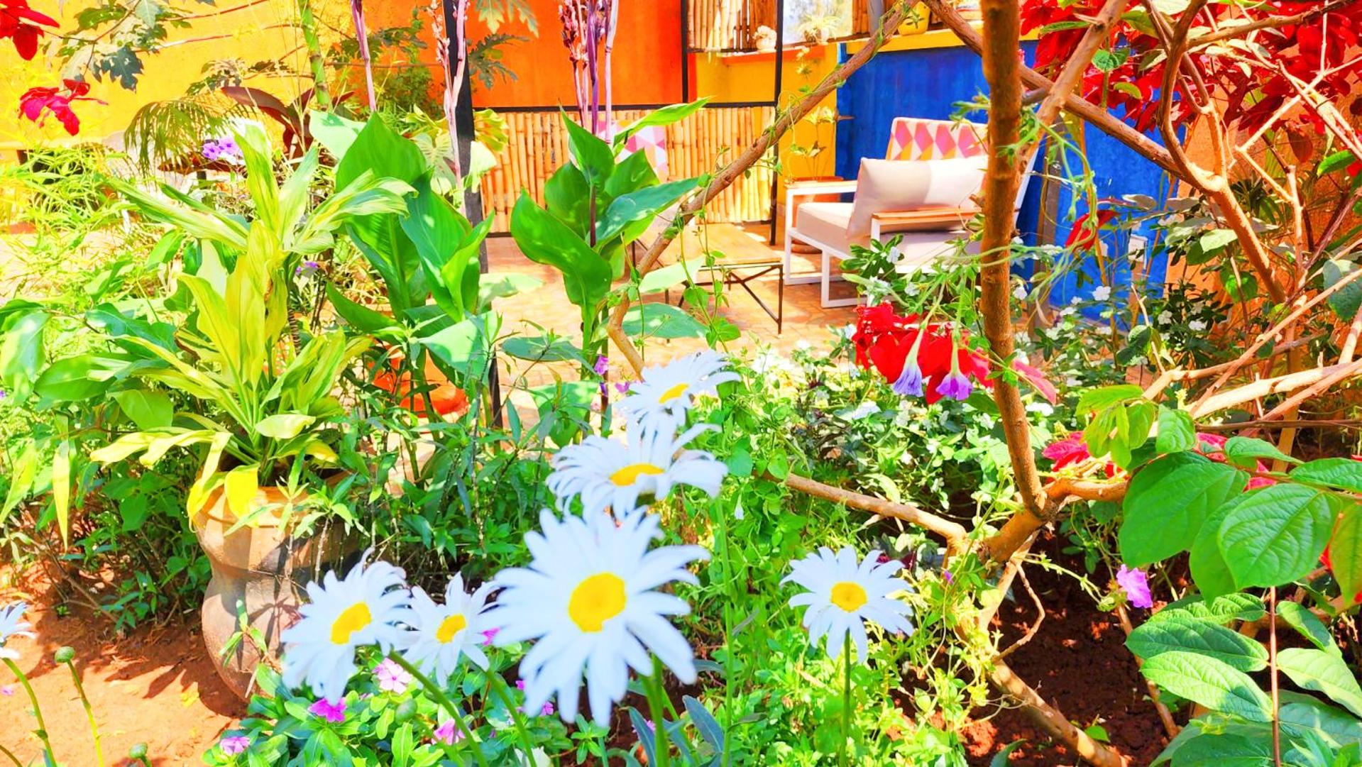 Yambi Guesthouse