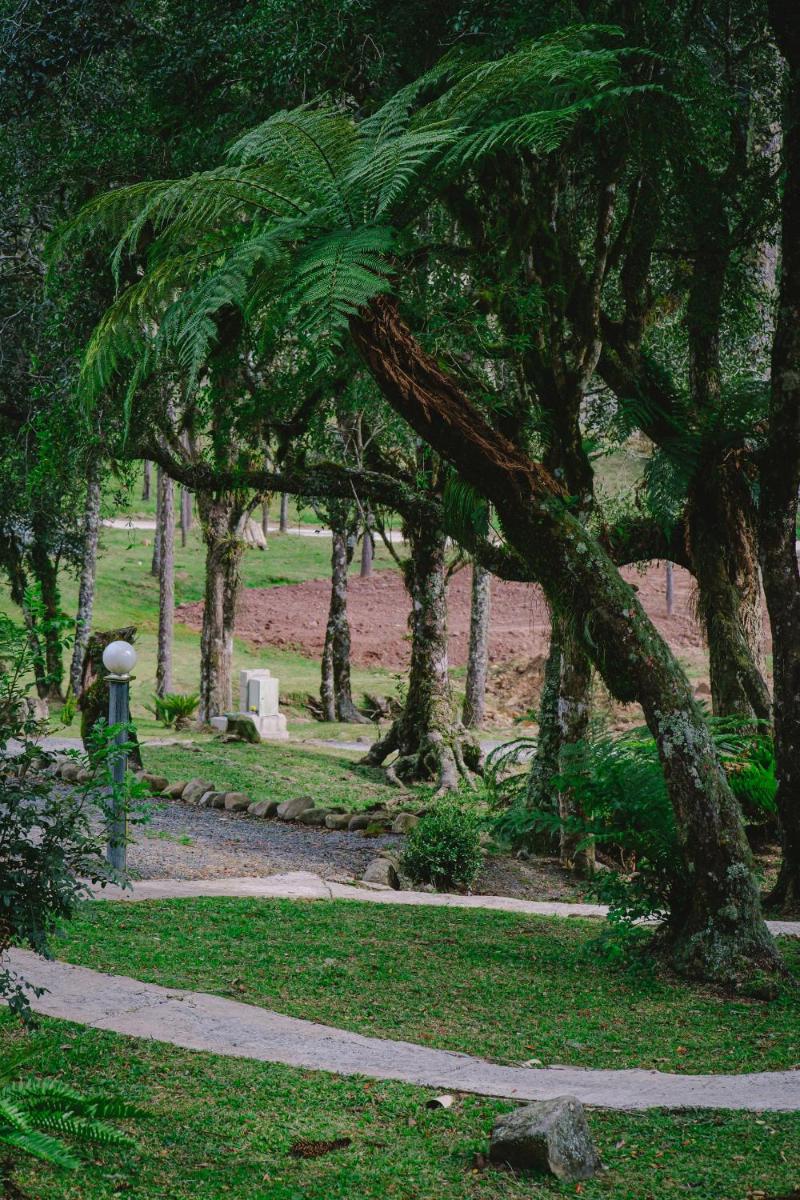 Pousada suite avencal