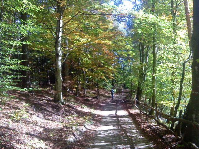 Tinnerhof
