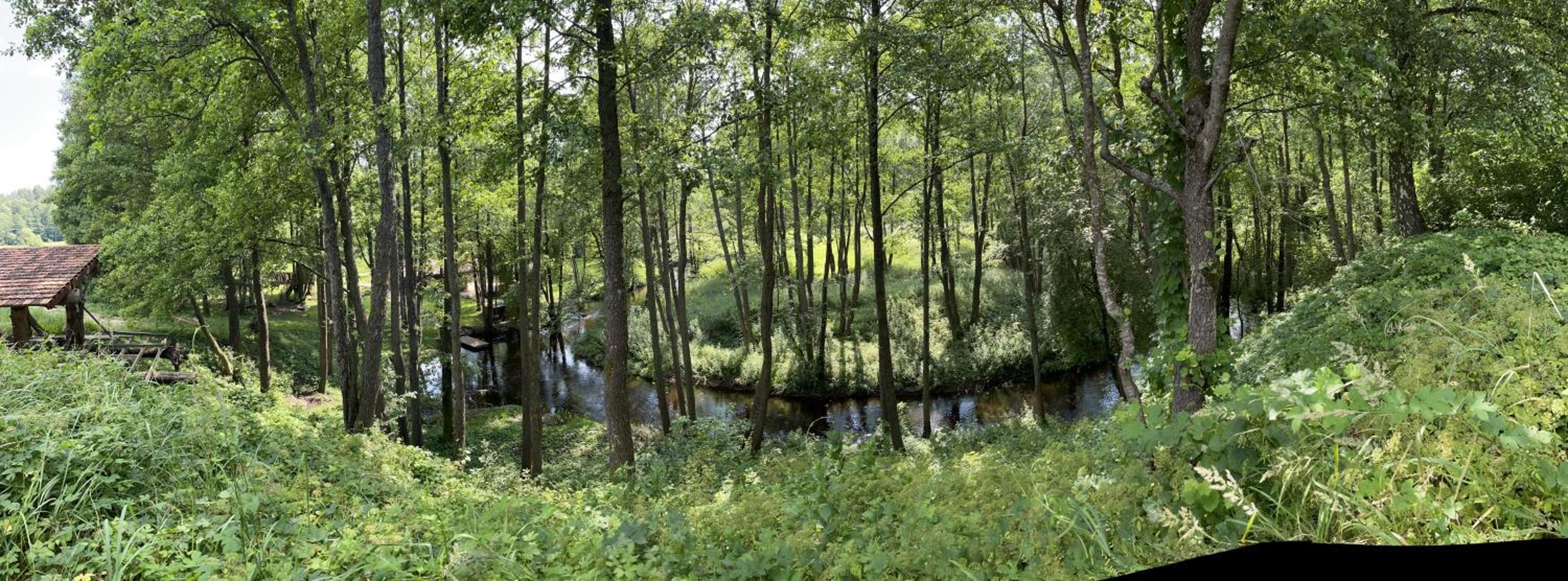 Gervės dvaro svečių namelis view 3