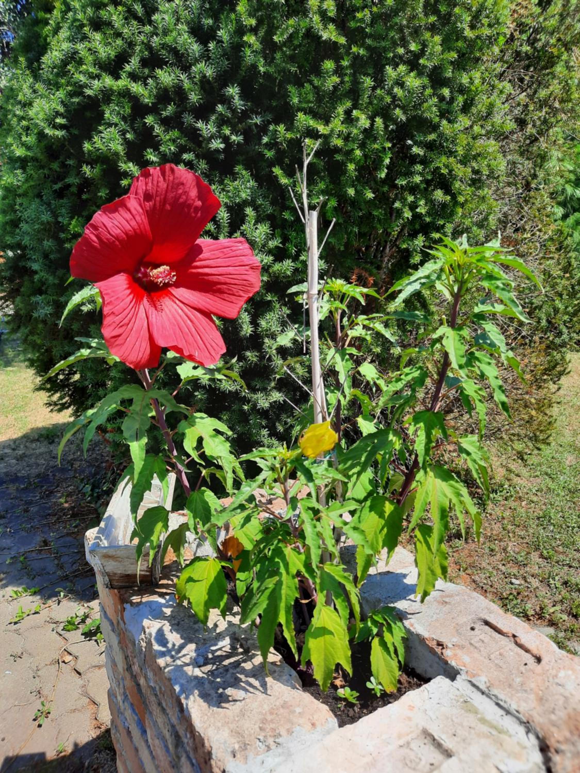 Photo 17