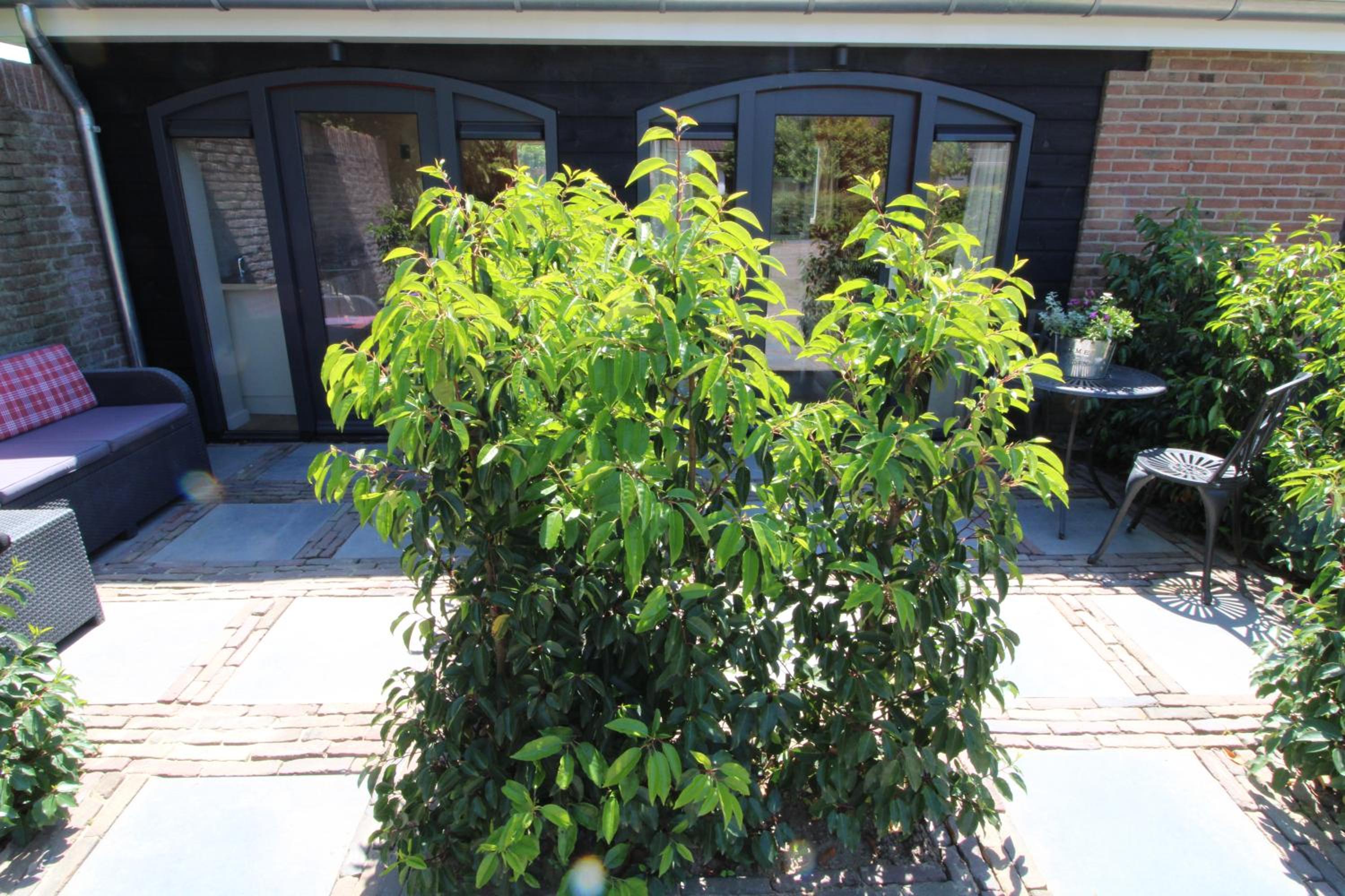 Photo 42