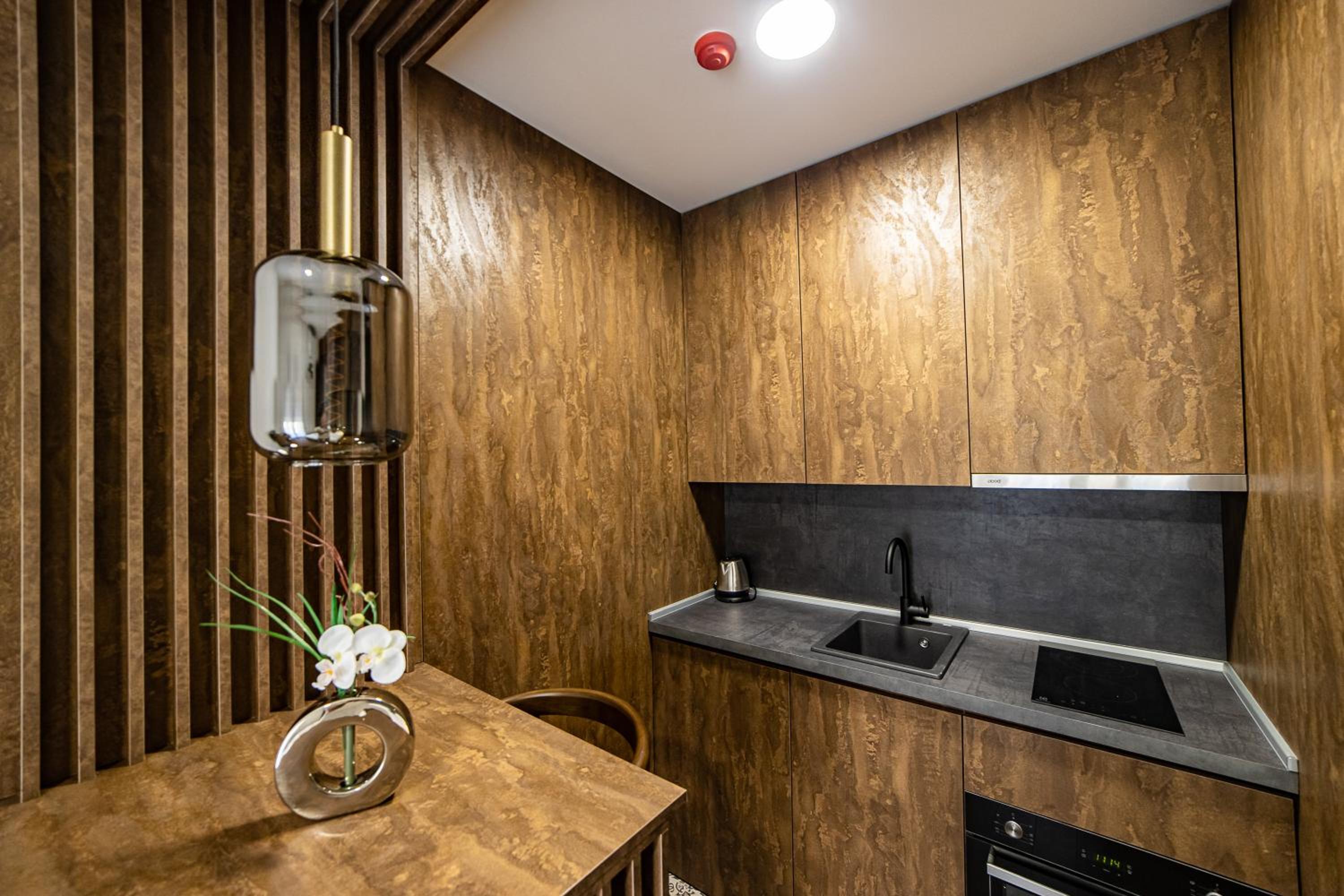 Apartments Tulip Podgorica view 4