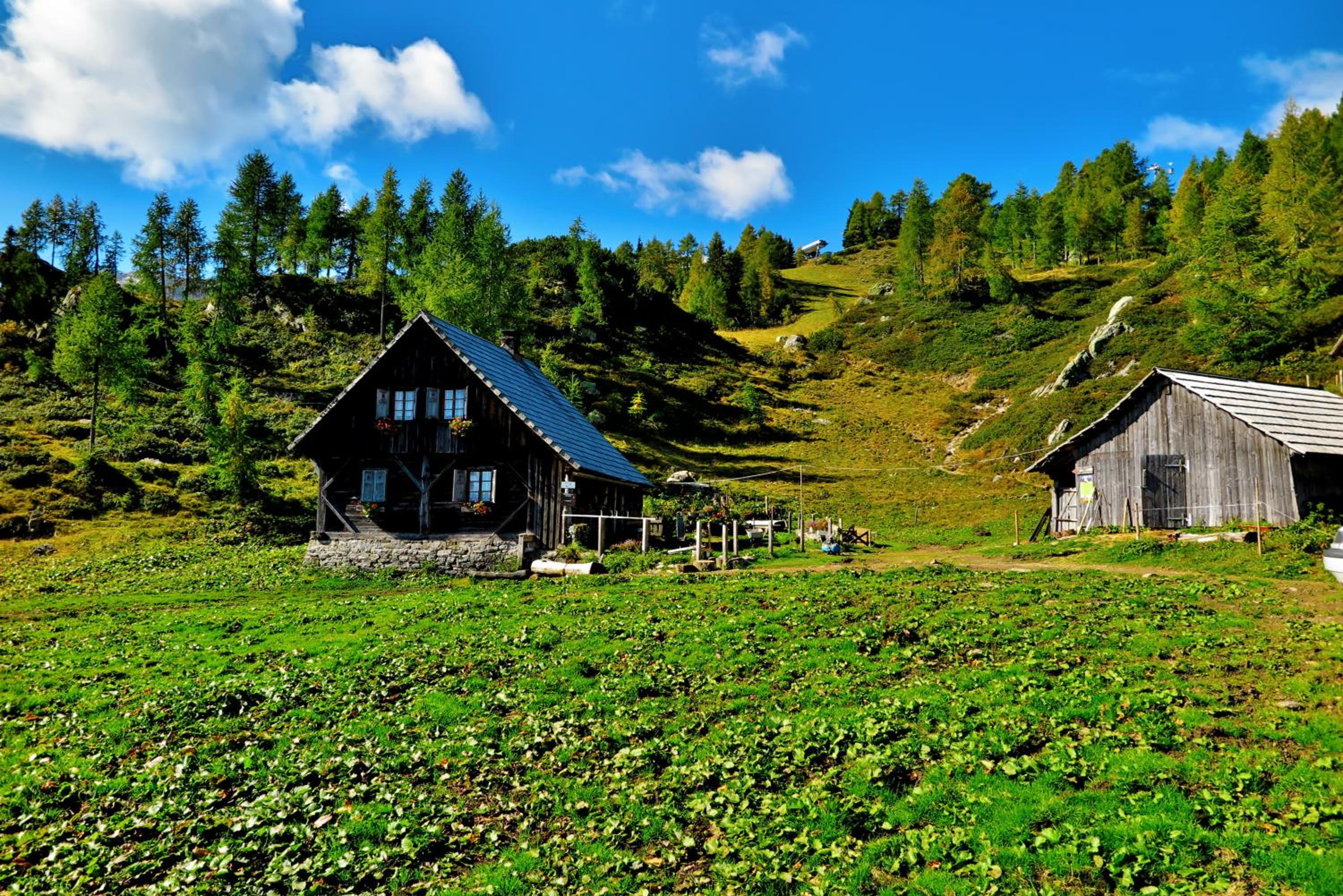 Apartments Bergblick