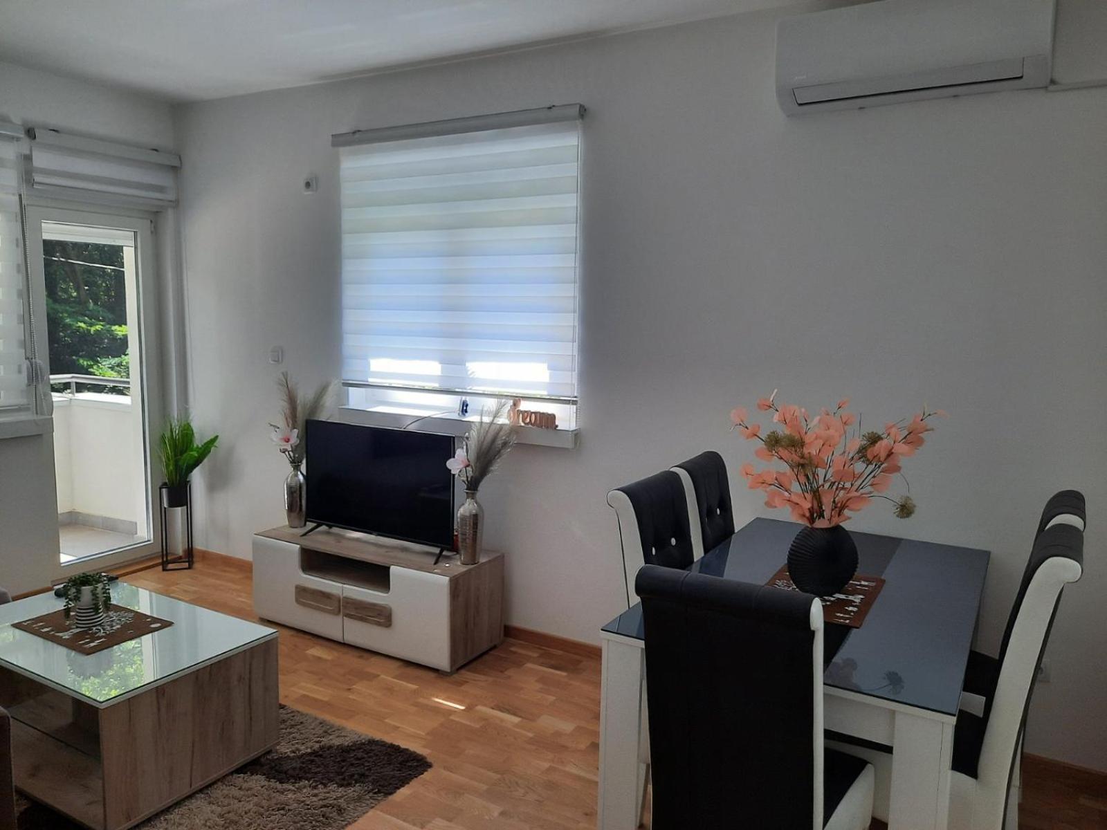 Apartman TEJA DELUXE view 5