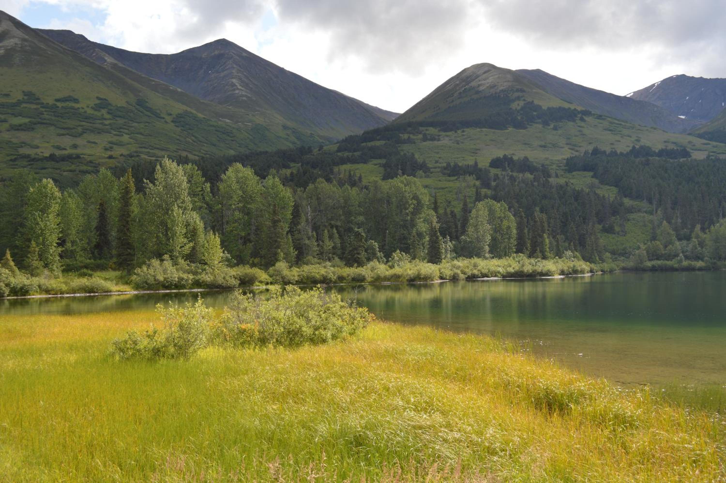 Summit Lake Lodge