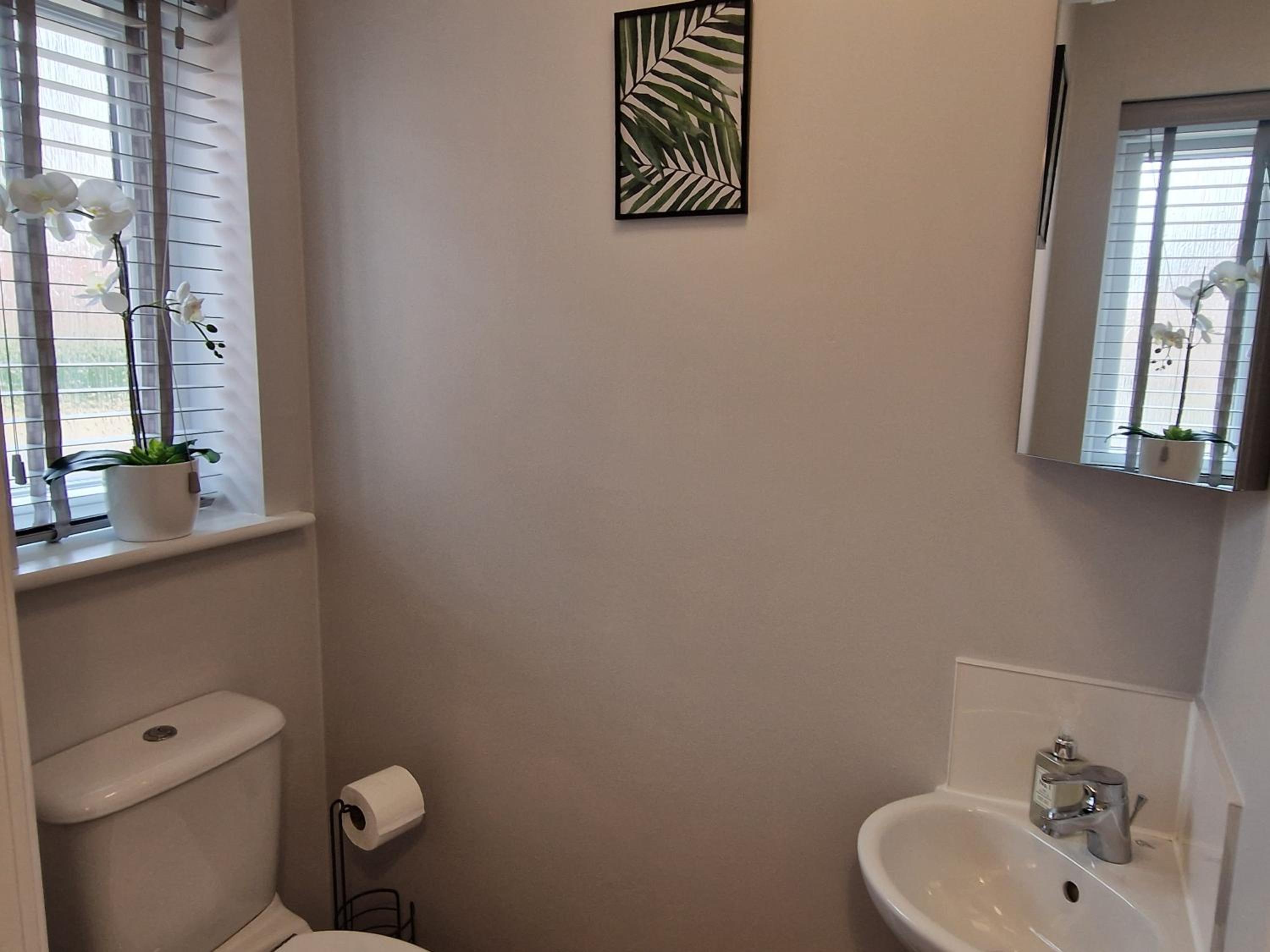 Norwich, Lavender House, 3 Bedroom House, Private Parking and Garden, photo 3