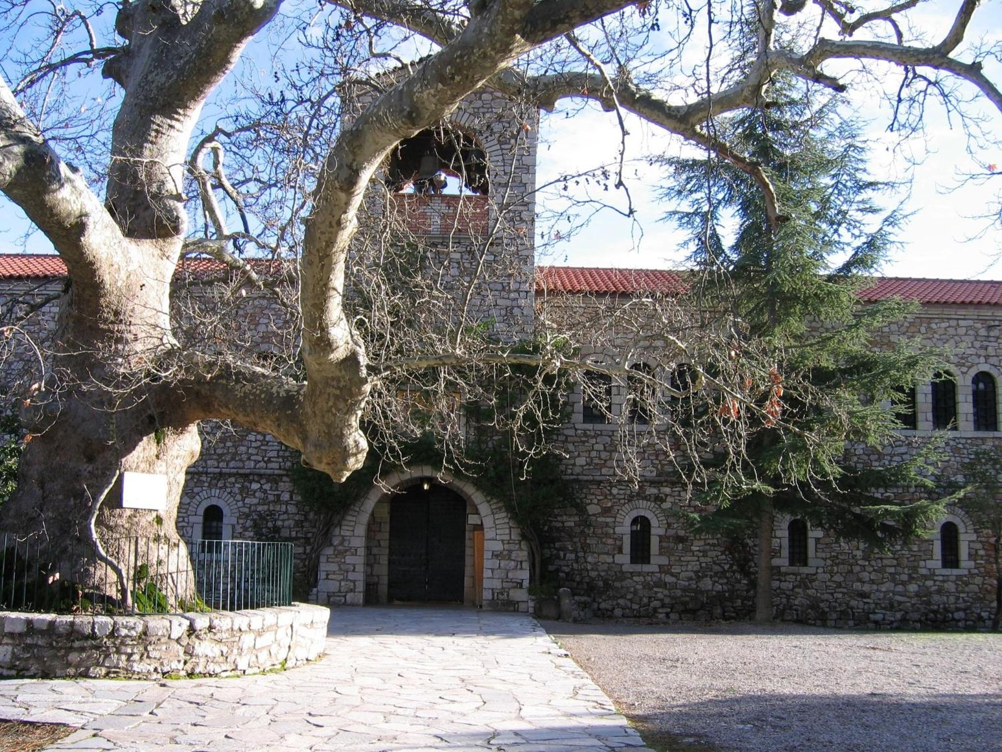 Photo 43