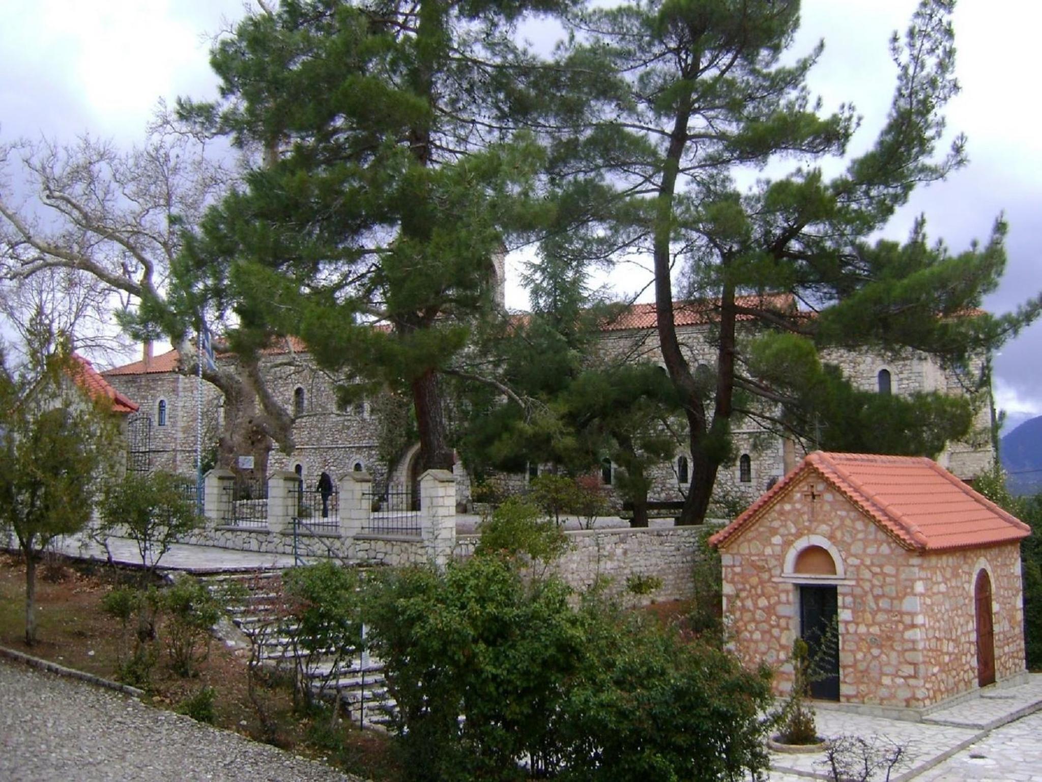 Photo 44