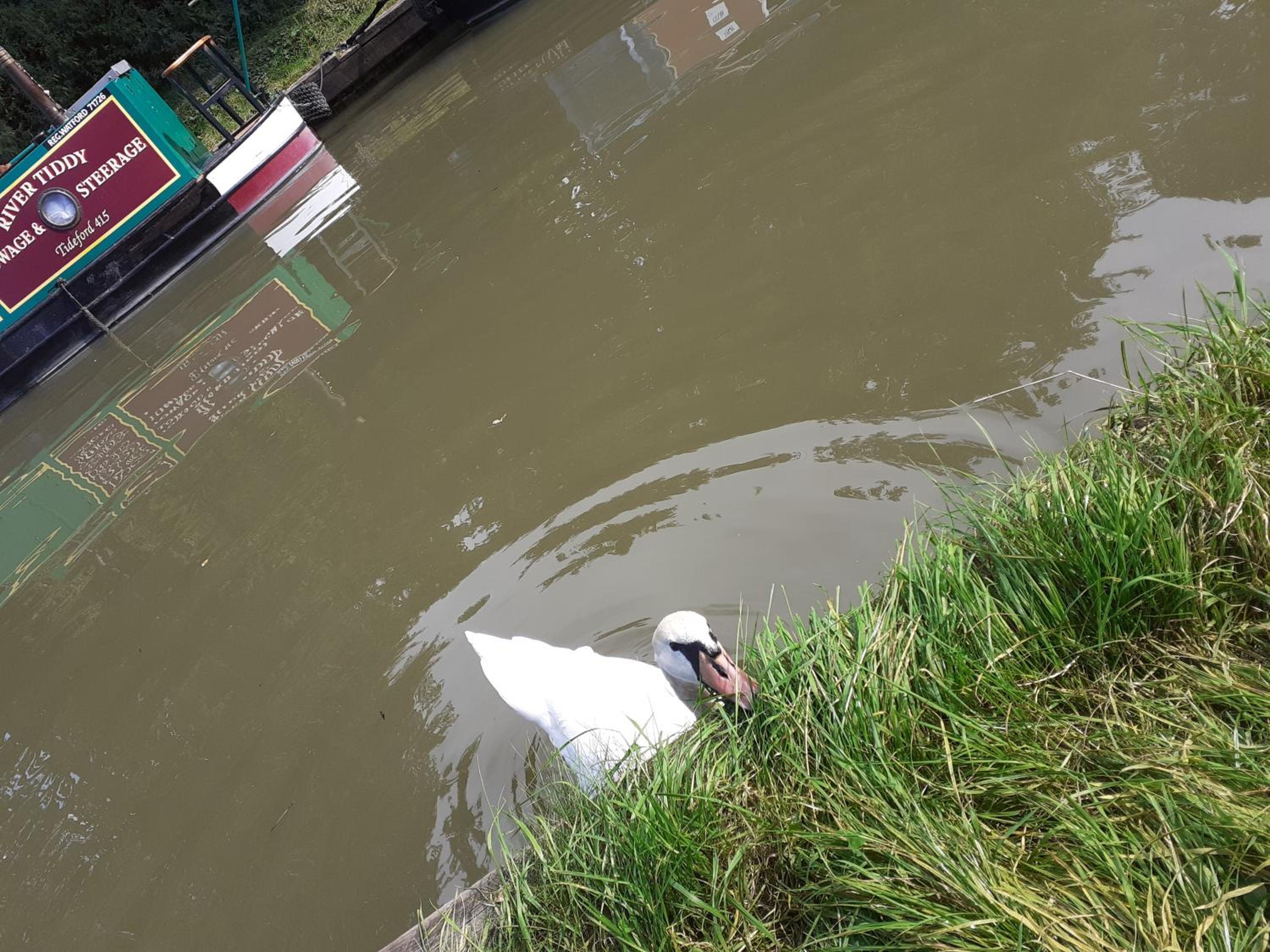 The Barge Inn