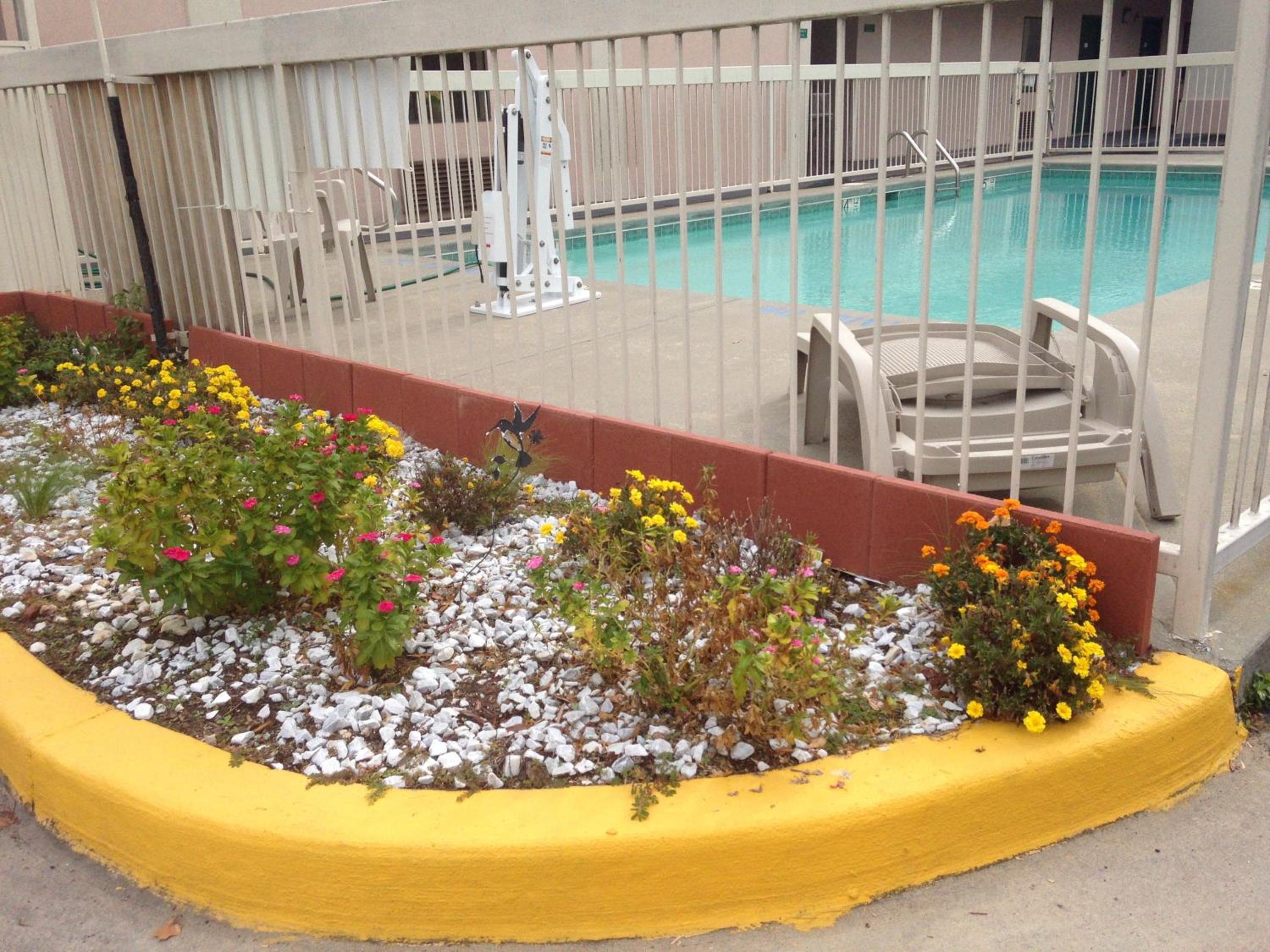 Photo 10