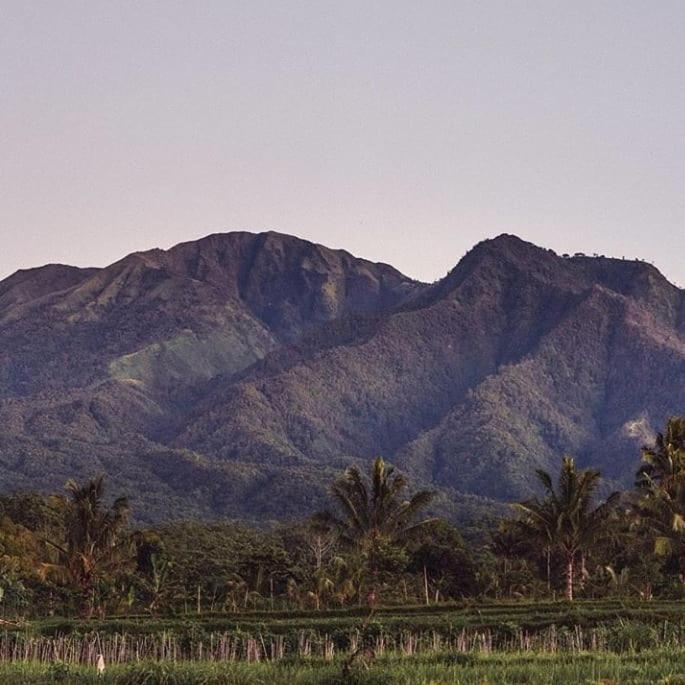 Tetebatu Mountain View Homestay