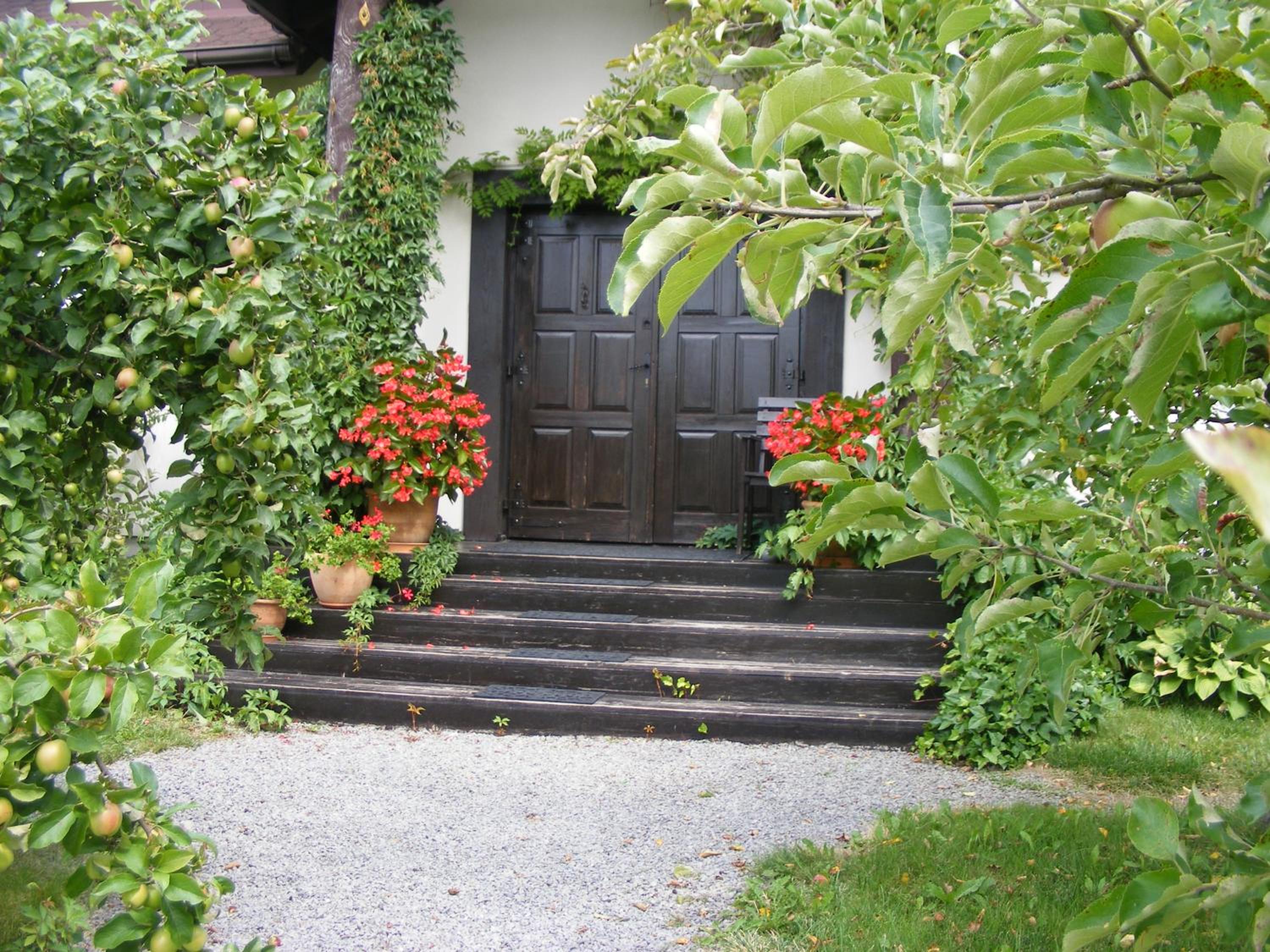 Photo 8