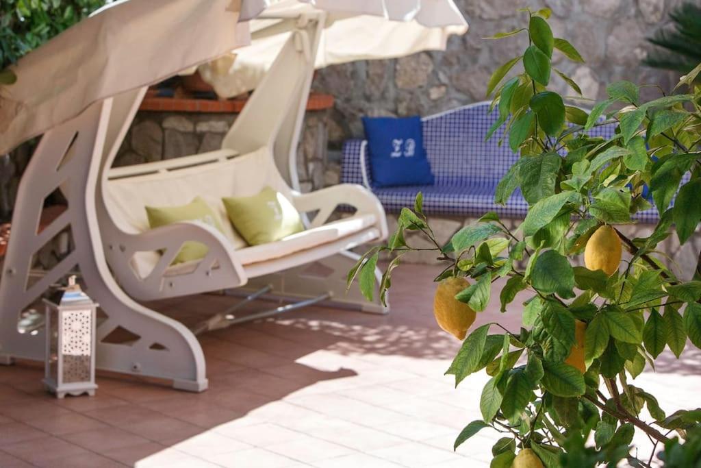 La zagara bianca photo 3